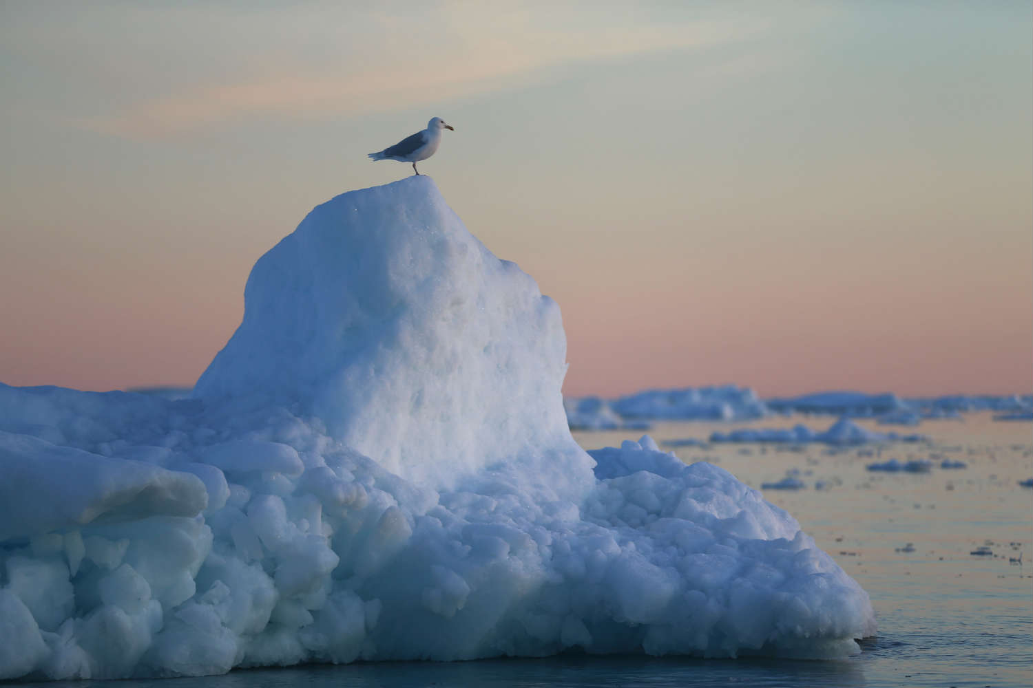 Climate change impacts Arctic ice
