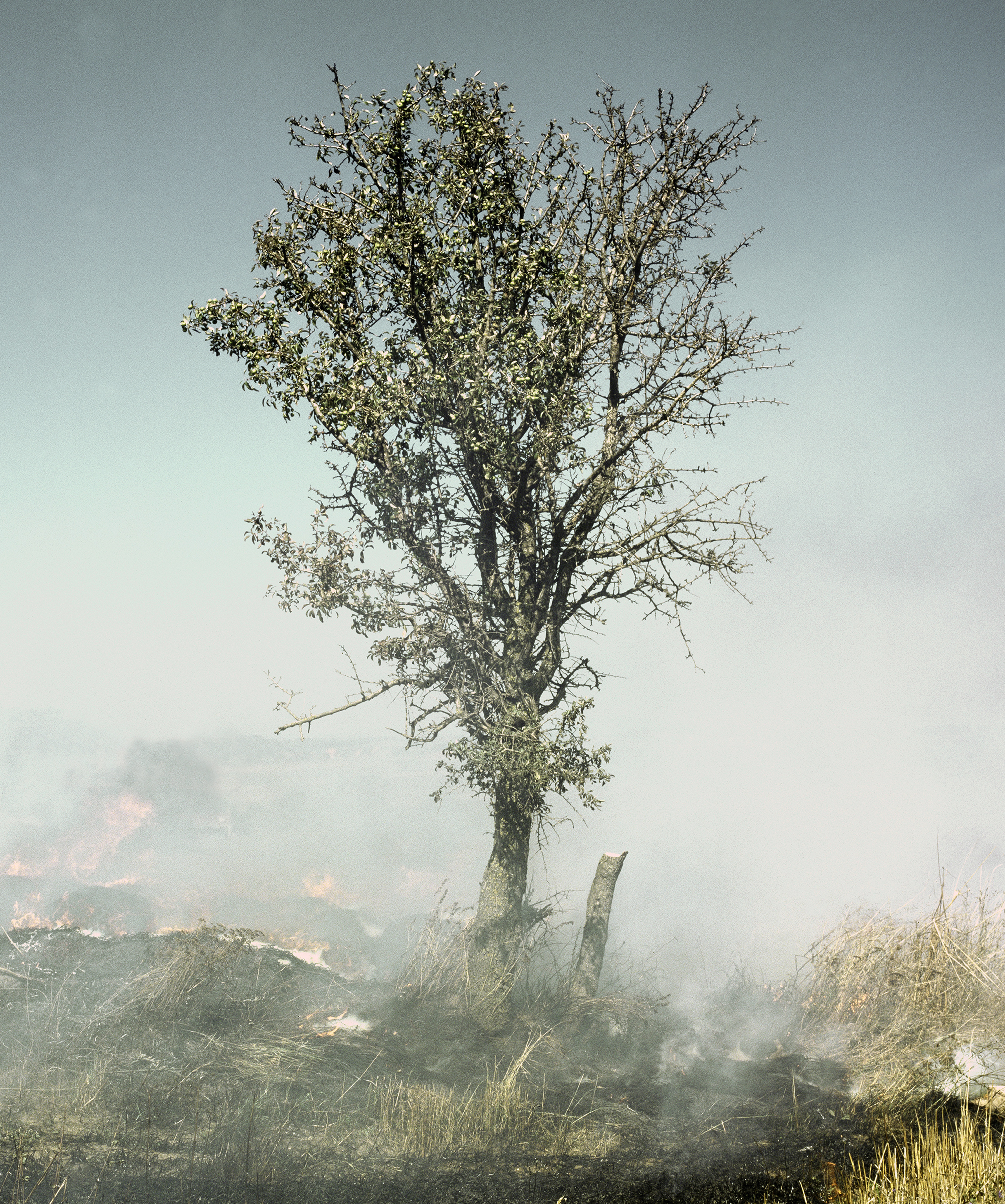 From Aftermath