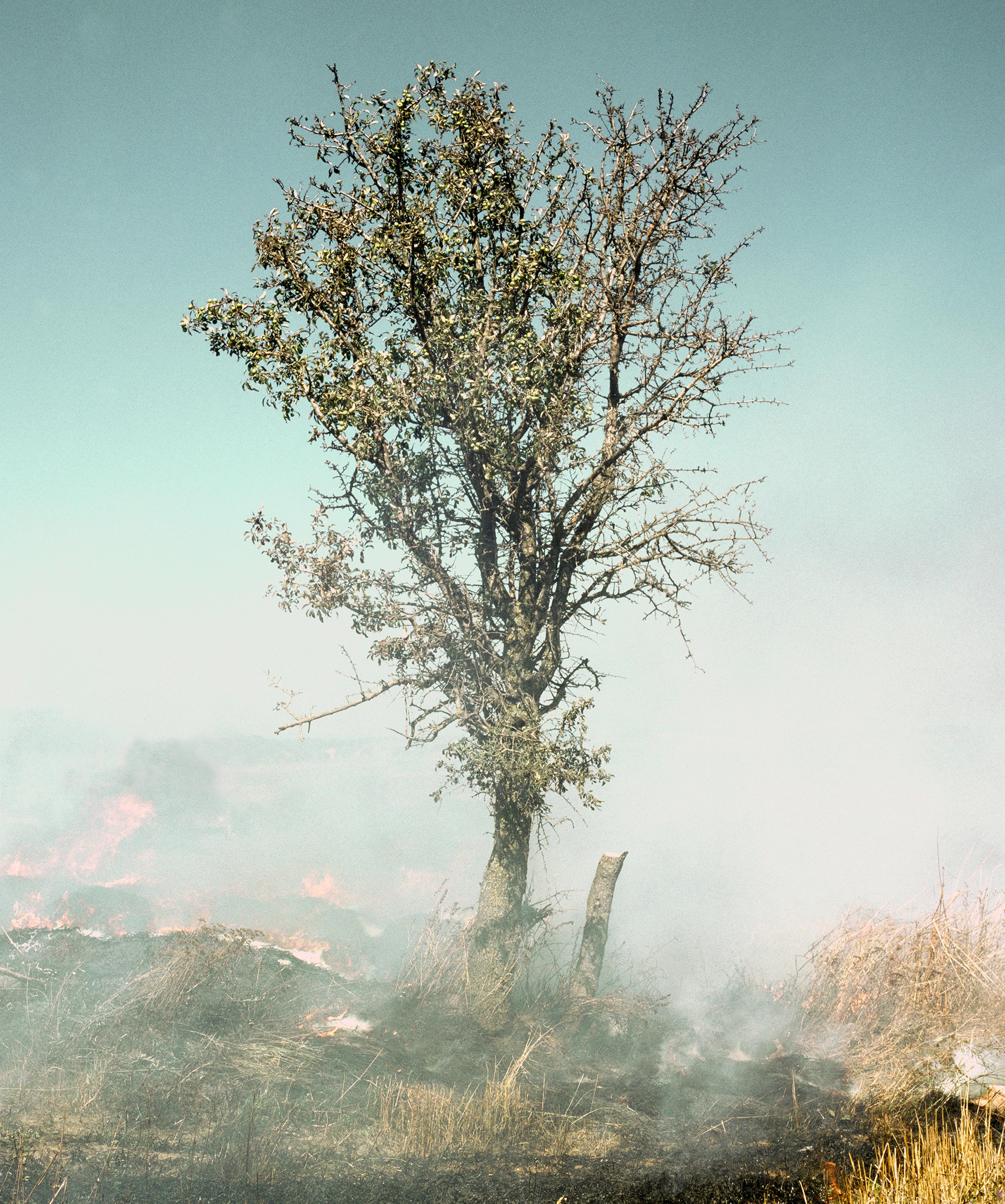 From Aftermath