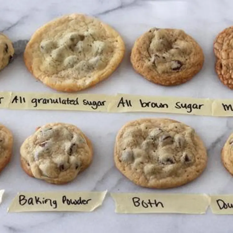 Different types of chocolate chip cookies