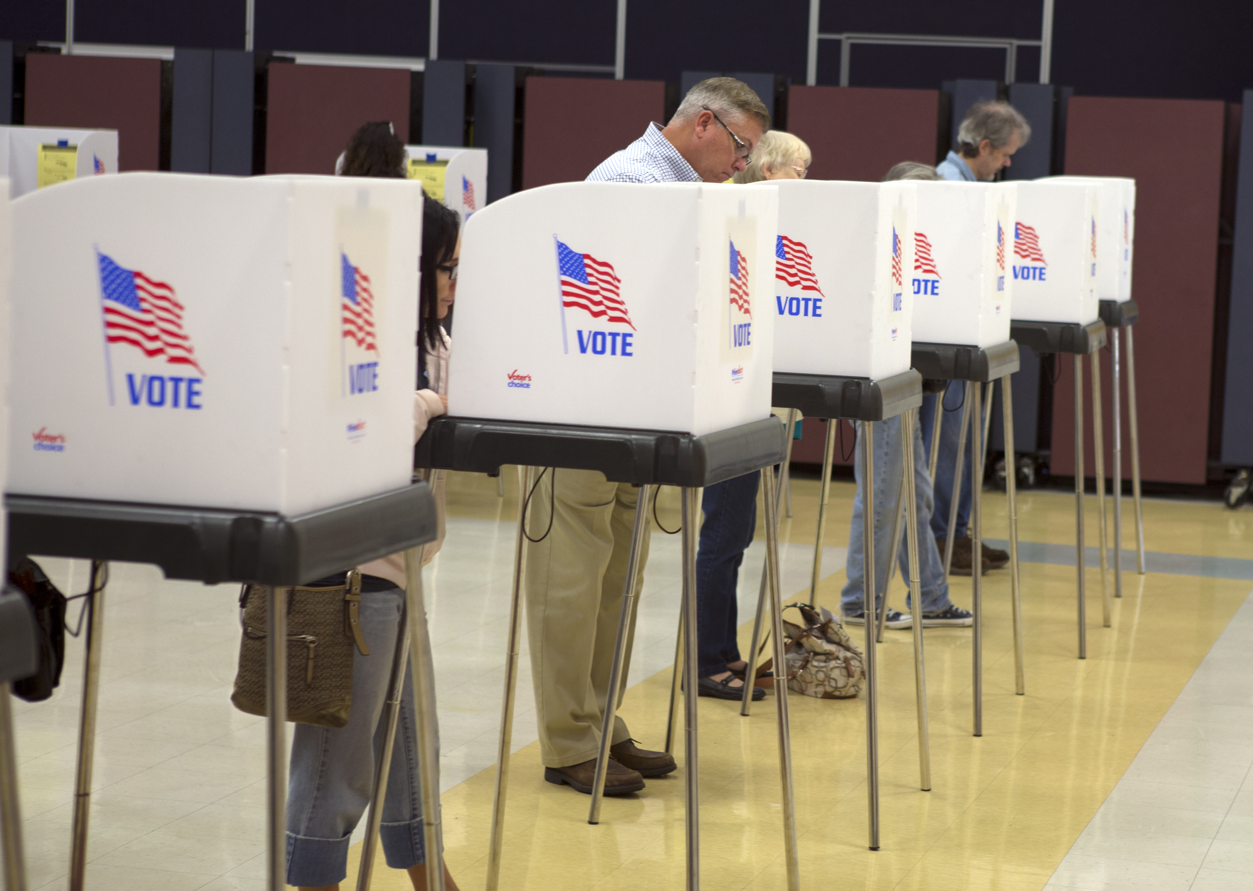 Voters cast their ballots at Oakdale Elementary School in Frederick, Md., Tuesday, Nov. 8, 2016.
