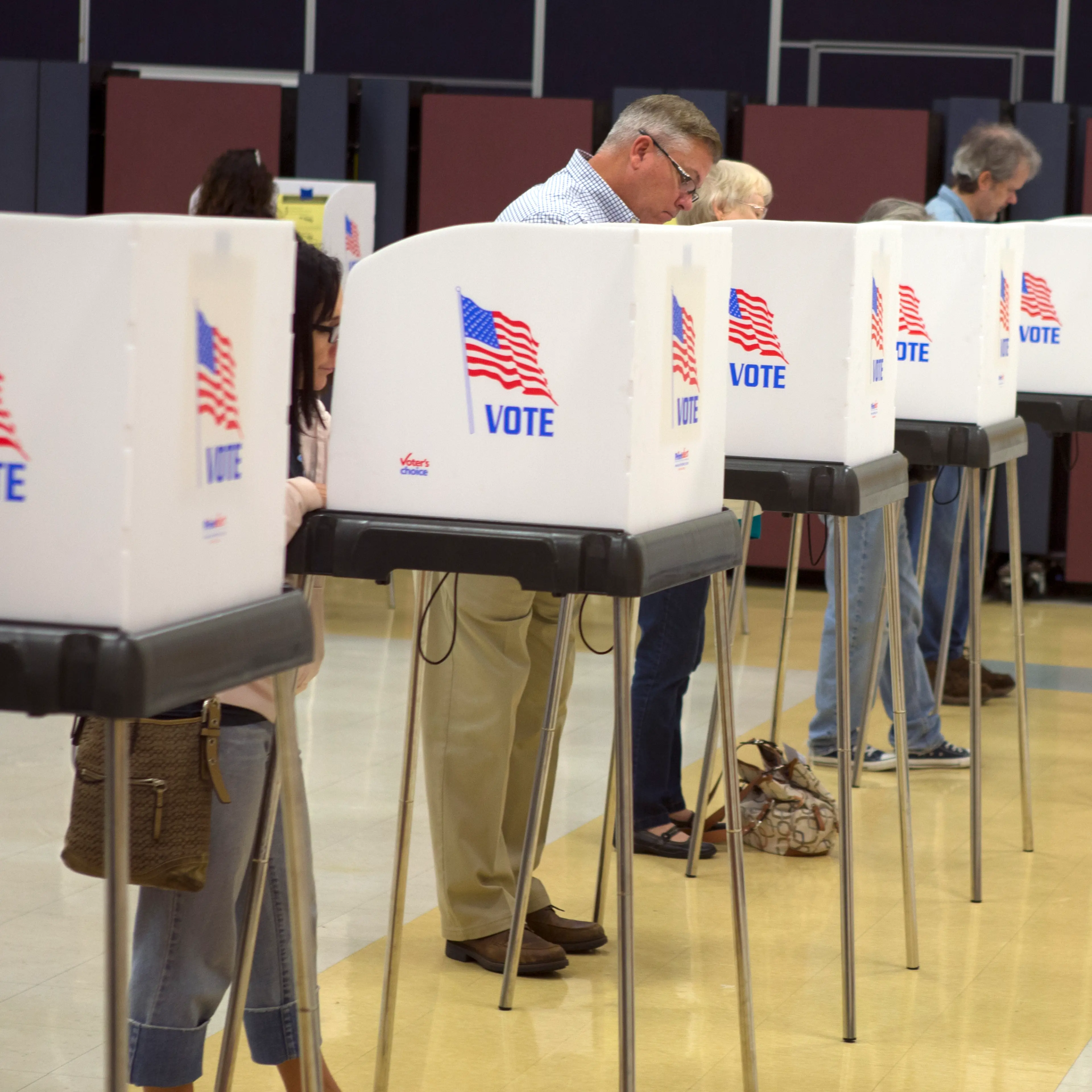 Voters cast their ballots at Oakdale Elementary School in Frederick, Md., Tuesday, Nov. 8, 2016.