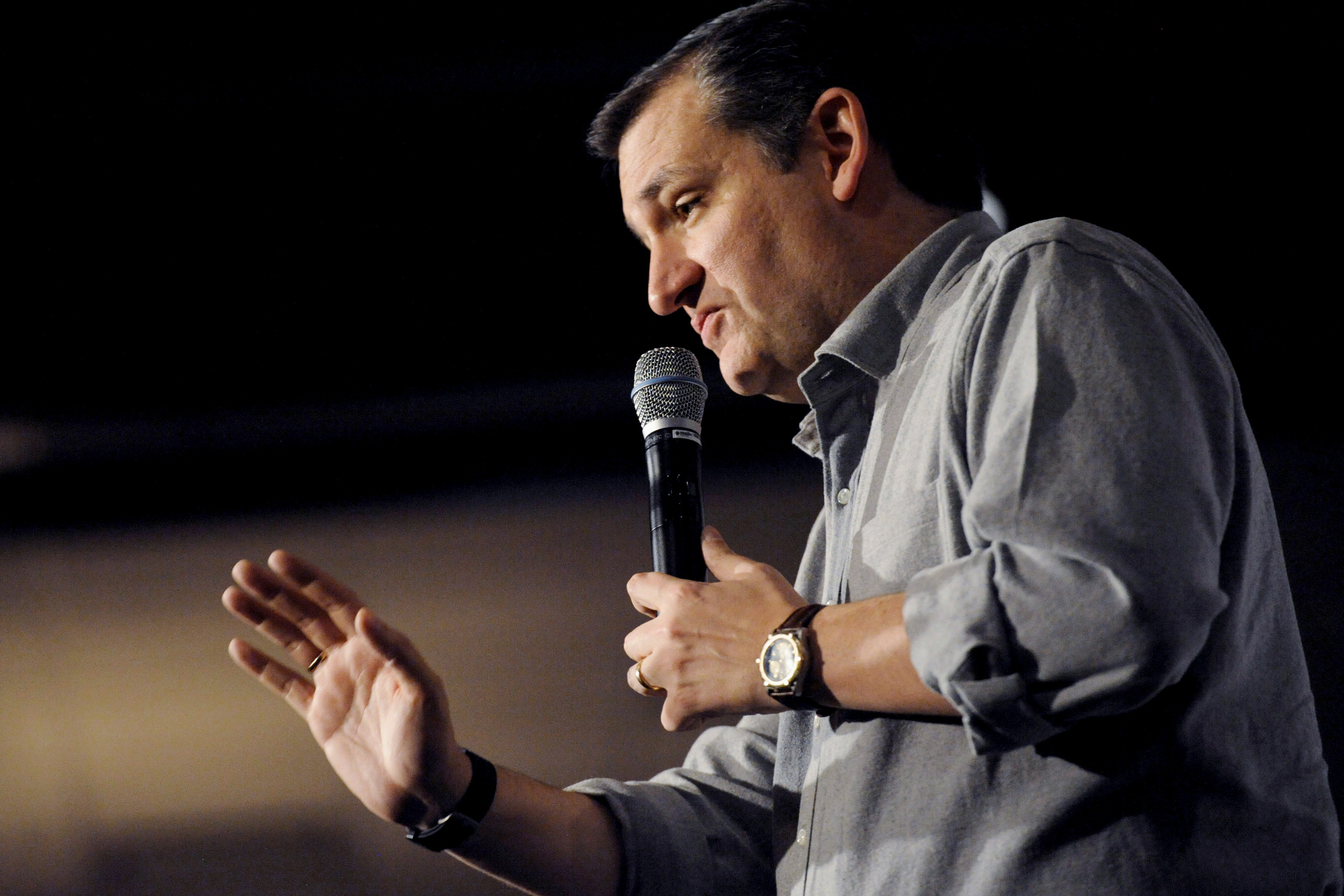 U.S. Republican presidential candidate Ted Cruz speaks at the Clay County Regional Event Center Ballroom in Spencer, Iowa January 6, 2016. REUTERS/Mark Kauzlarich - RTX21CA5