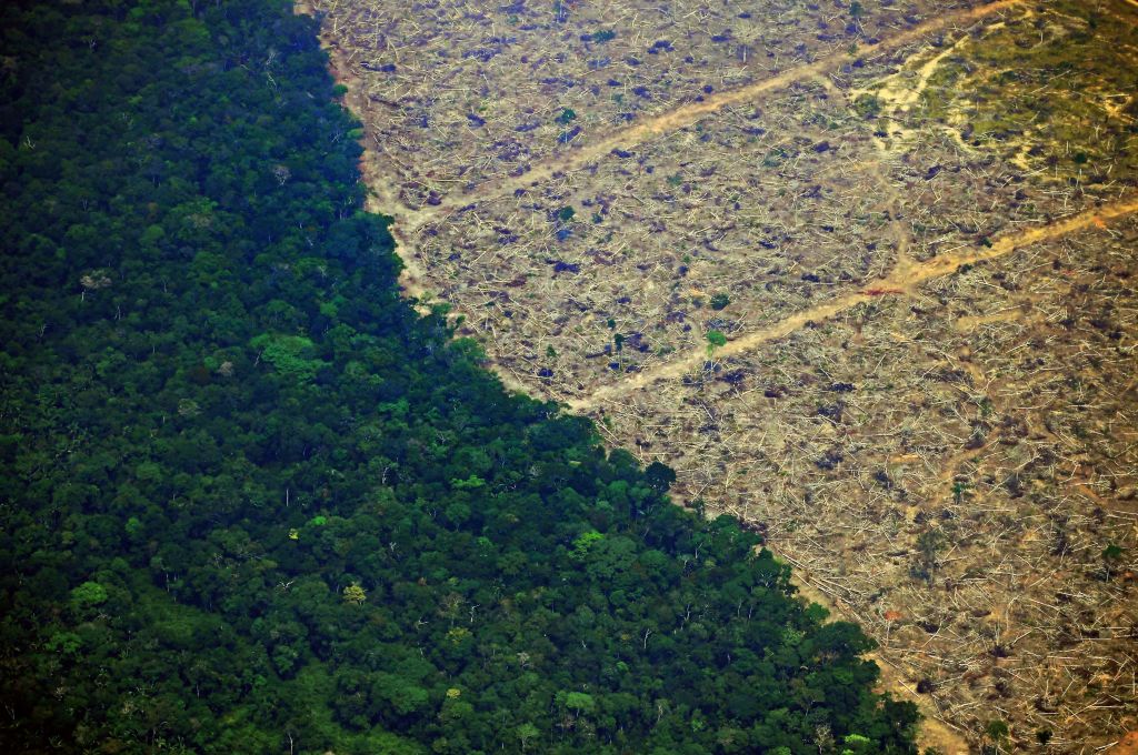 Amazon-deforestation-alliance