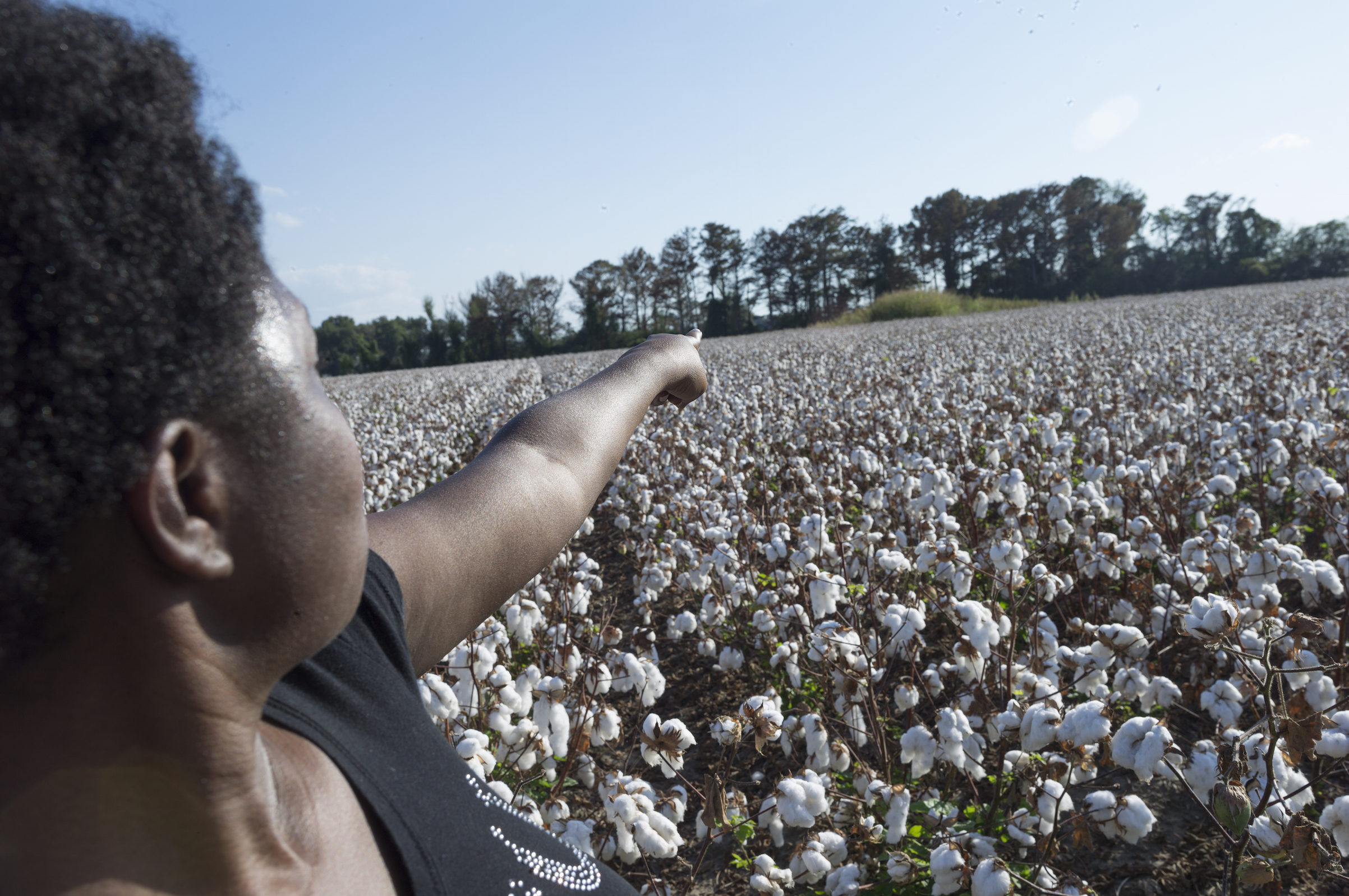 100 Year anniversary of the Elaine racial massacre