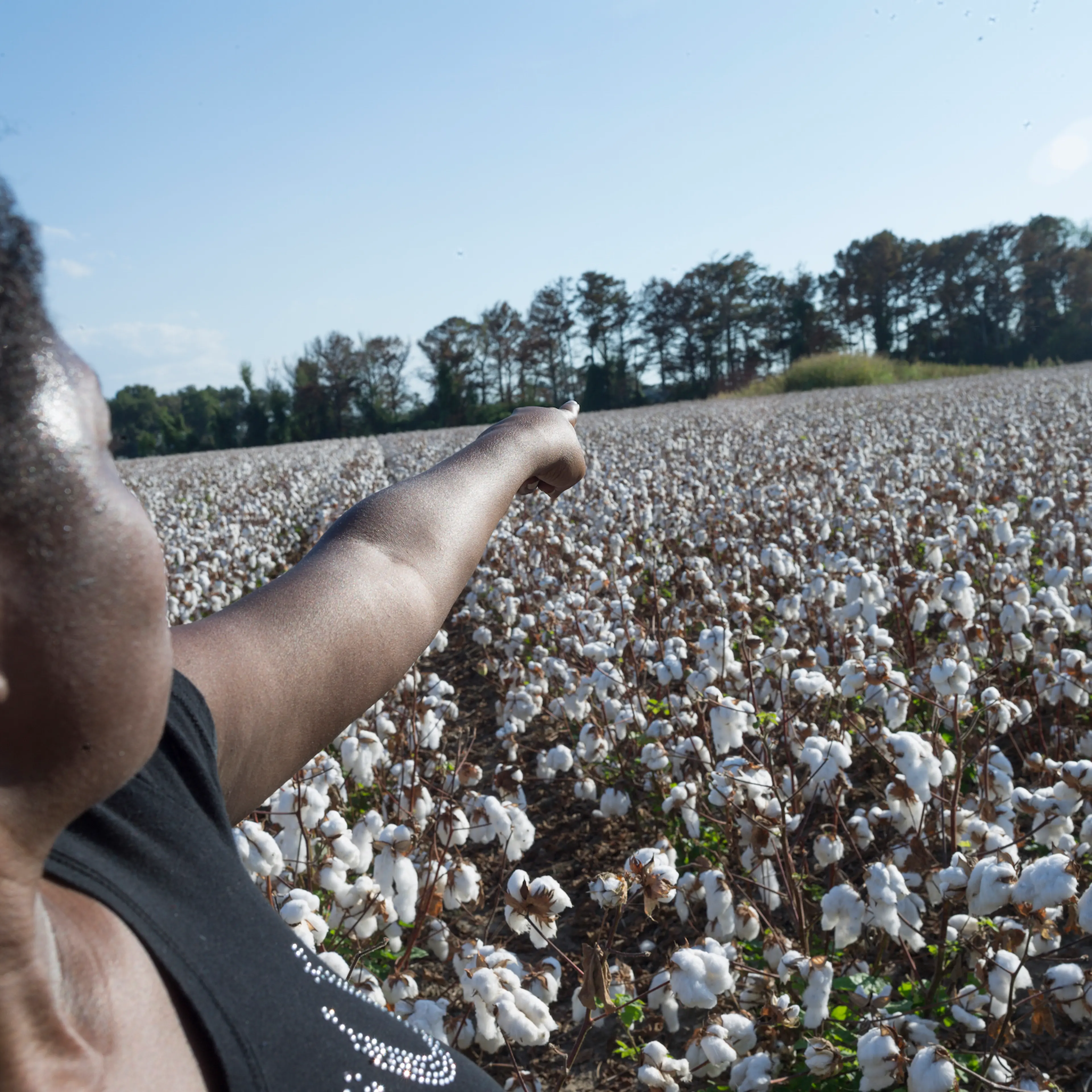 100 Year anniversary of the Elaine racial massacre