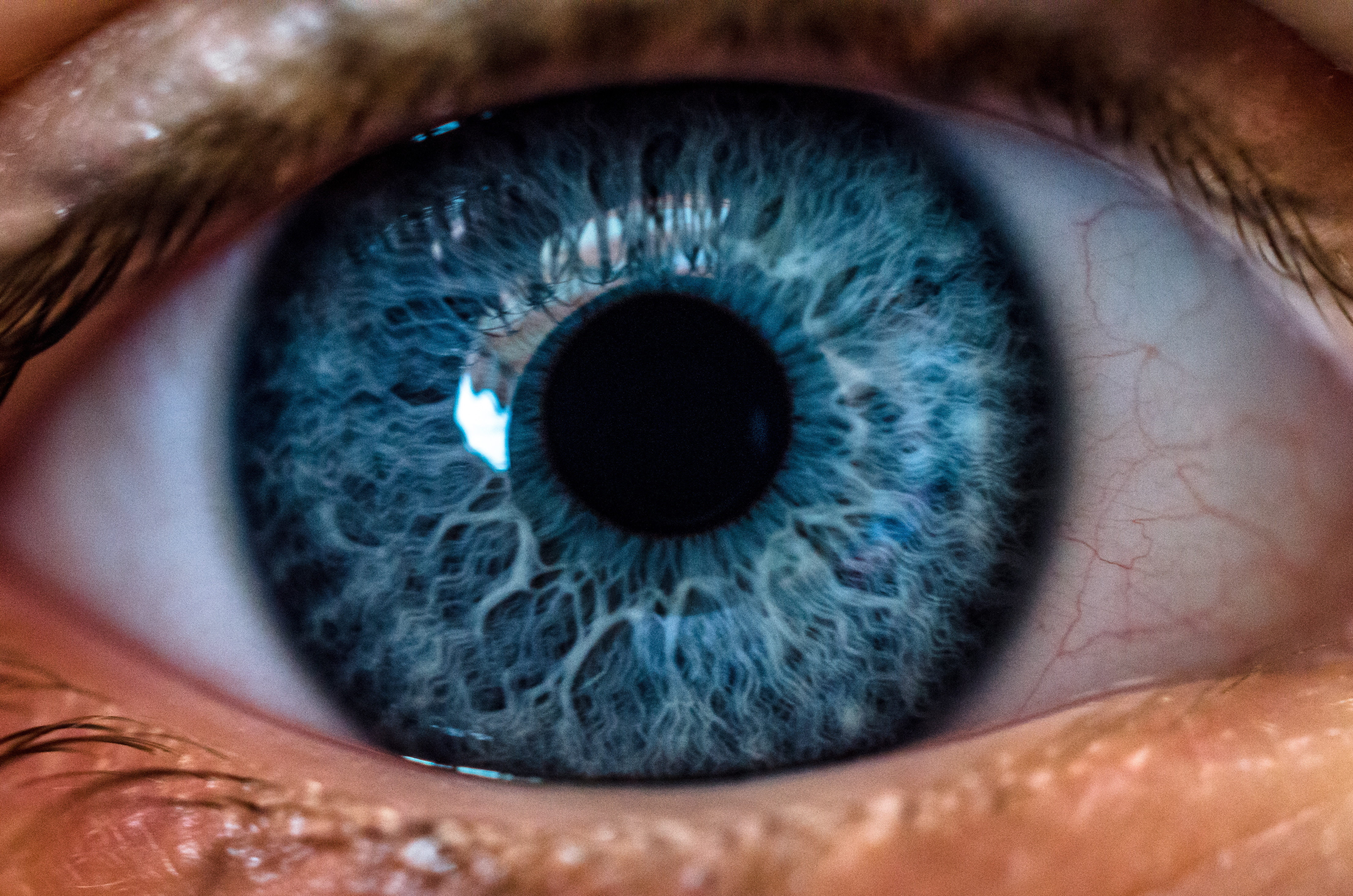 Close-Up Of Human Eye