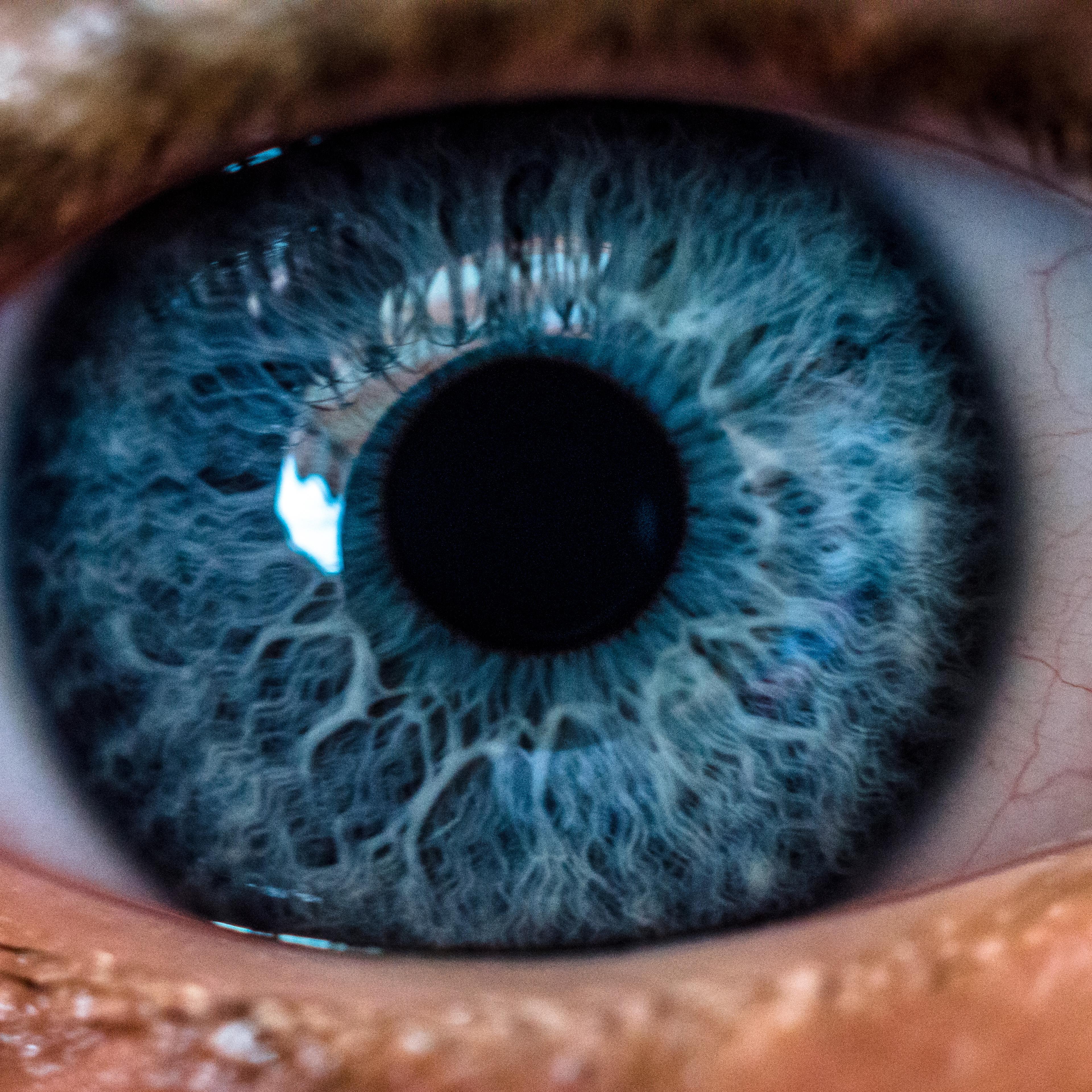 Close-Up Of Human Eye