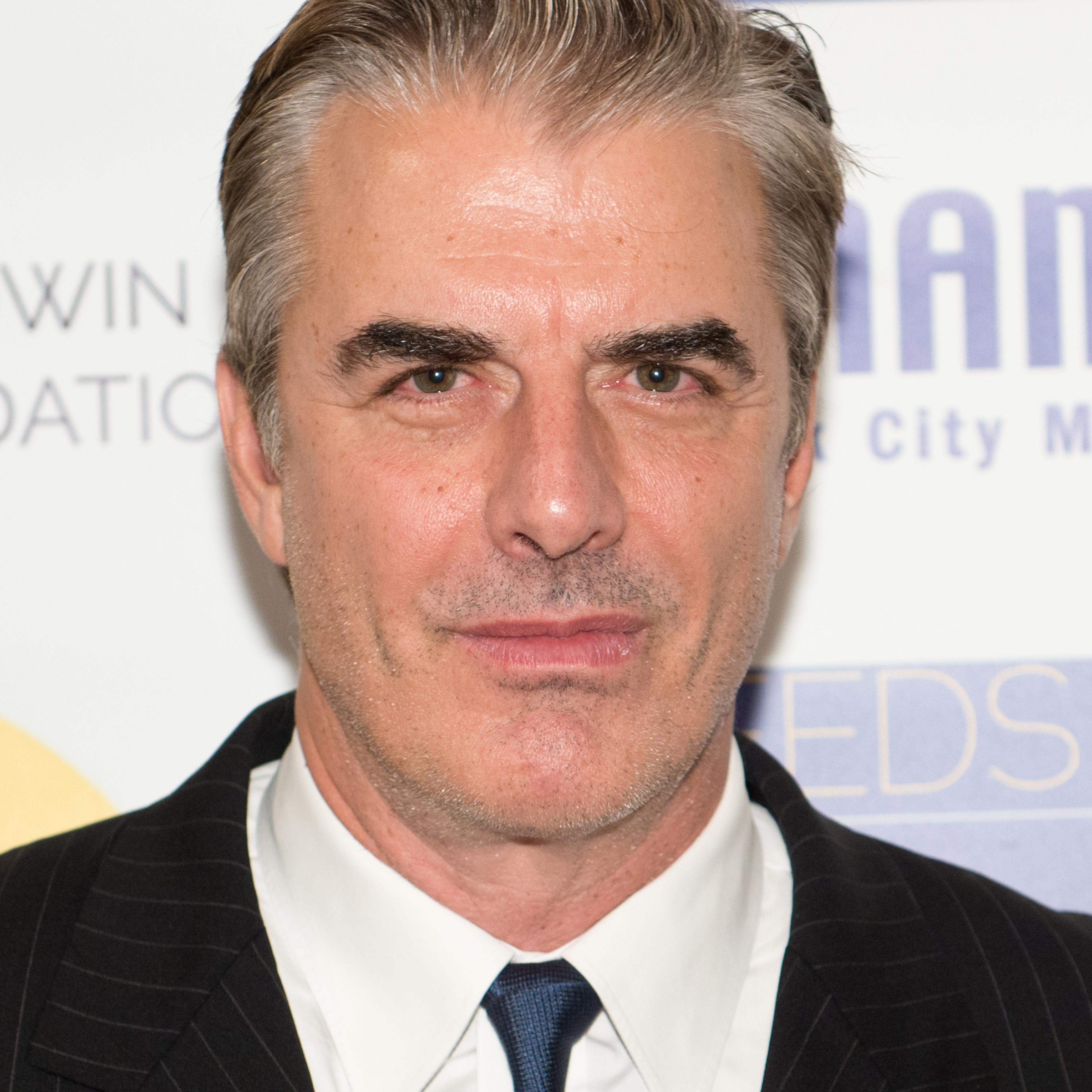 Actor Chris Noth attends the 2014 NAMI-NYC Metro Seeds Of Hope Gala at Altman Building on Nov. 6, 2014 in New York City.