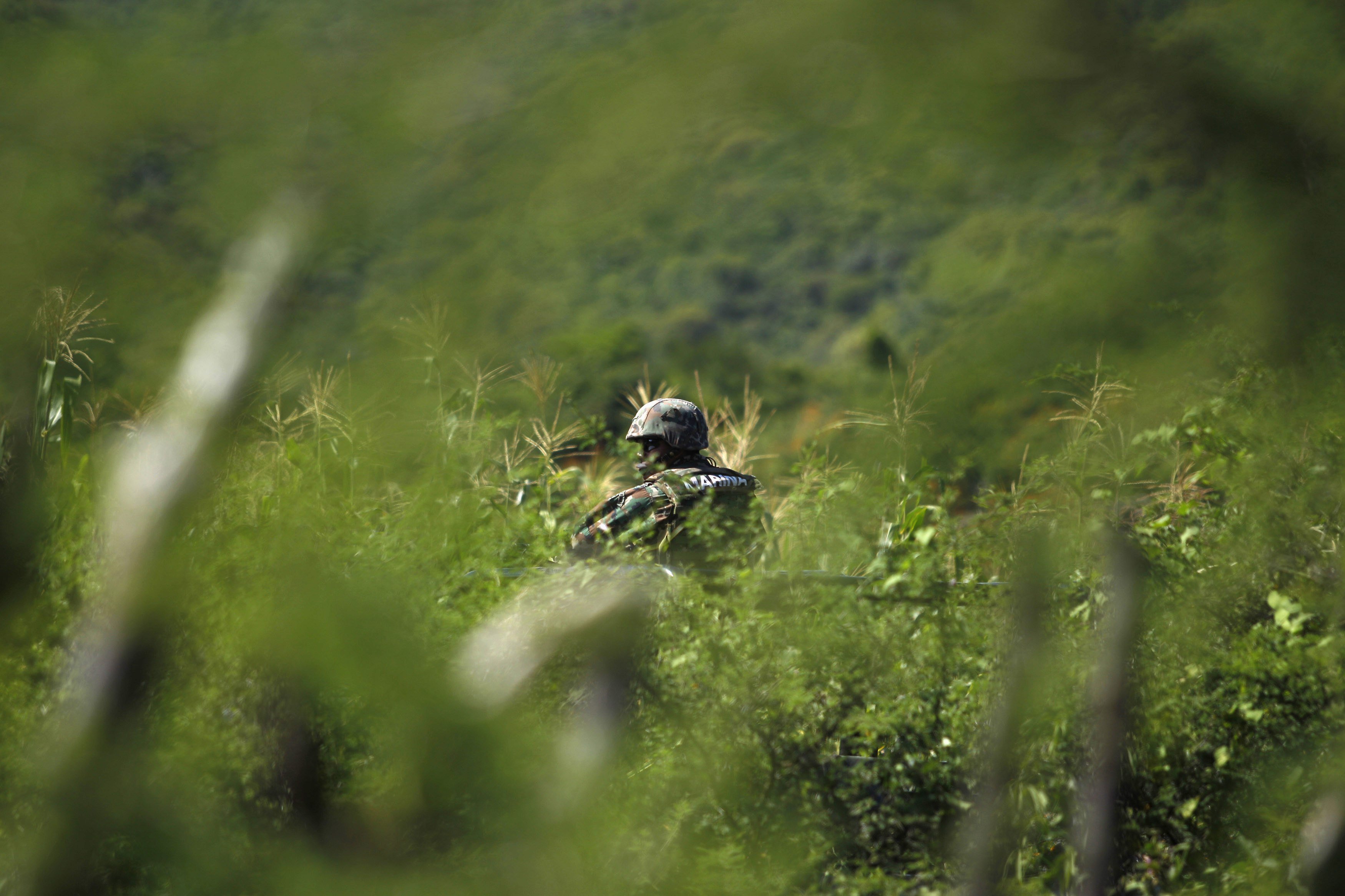 A soldier guards an area where a mass grave was found, in Colonia las Parotas on the outskirts of Iguala, in Guerrero