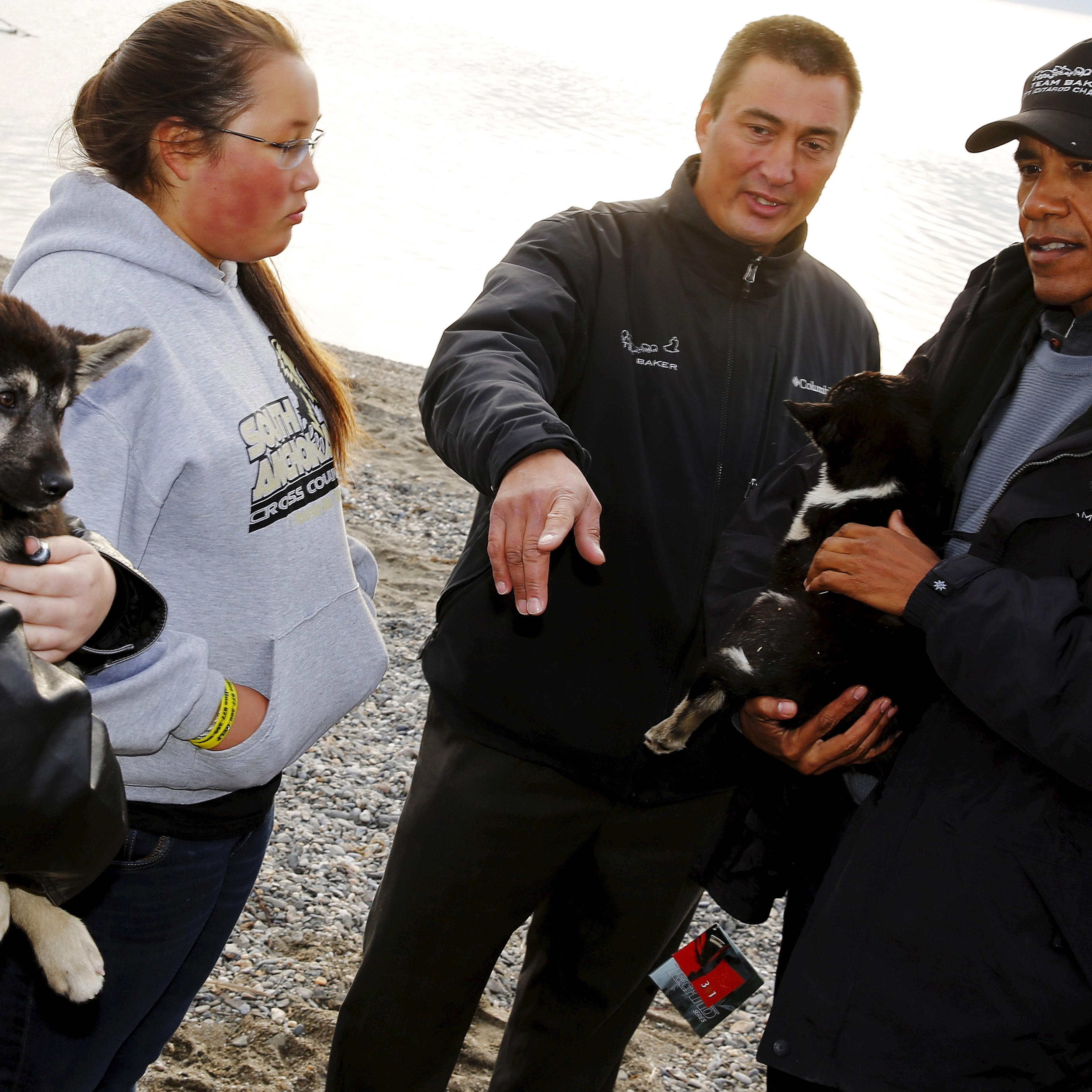 U.S. President Barack Obama (R) looks at dog sled puppies belonging to 2011 Iditarod Dog Sled Race champion John Baker in Kotzebue, Alaska on Sept. 2, 2015.