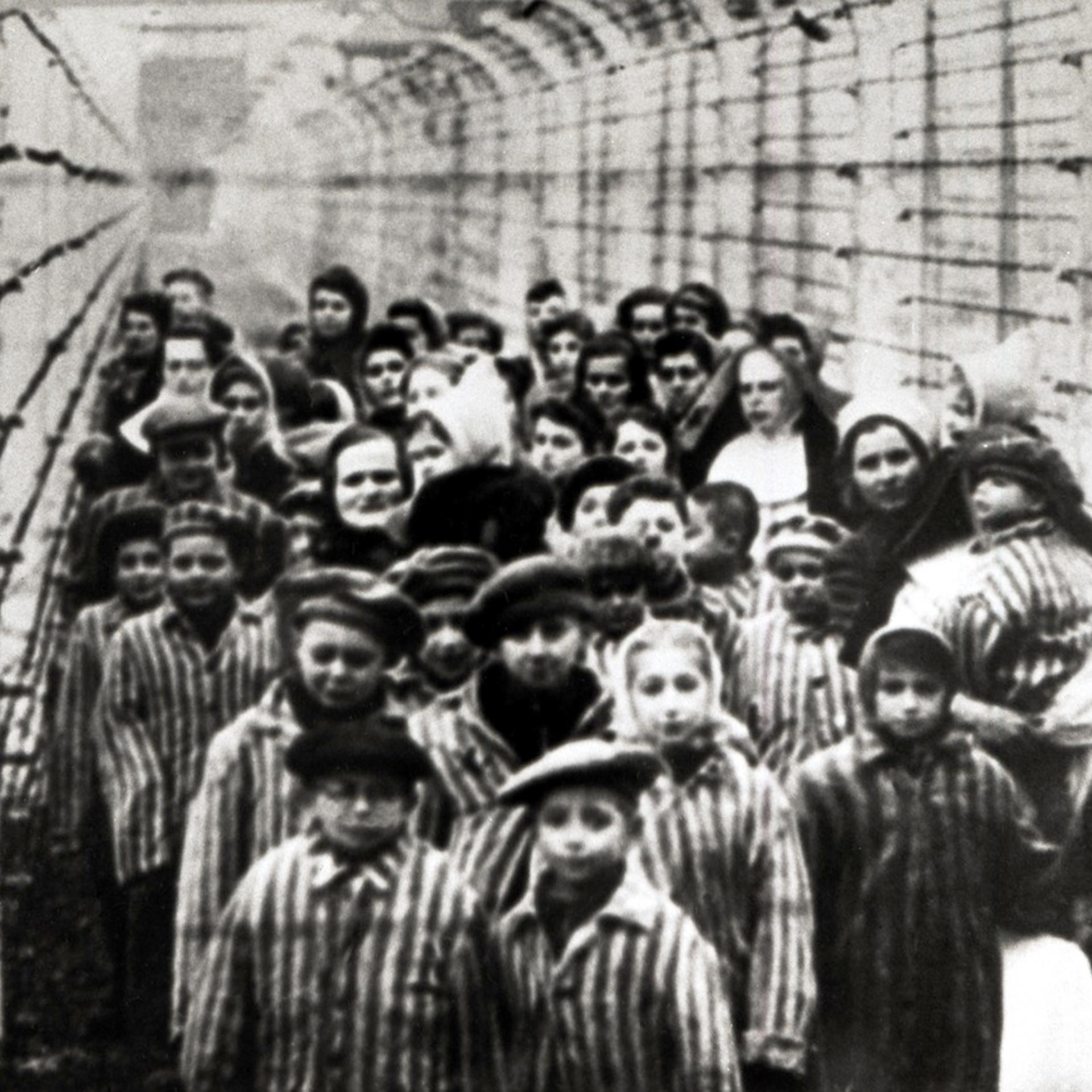 Children At Auschwitz
