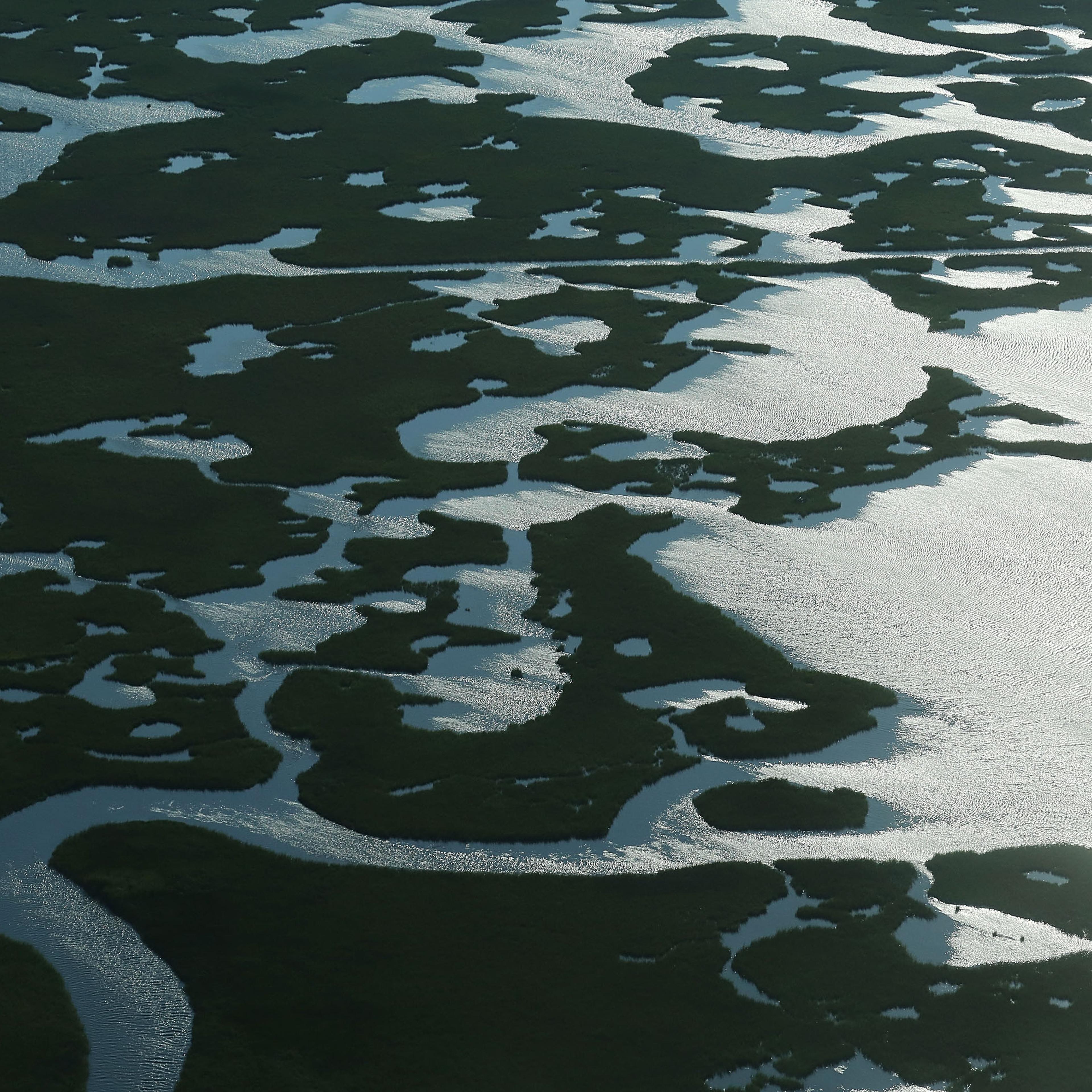 Coastal waters flow through deteriorating wetlands on August 25, 2015 in Saint Bernard Parish, Louisiana.