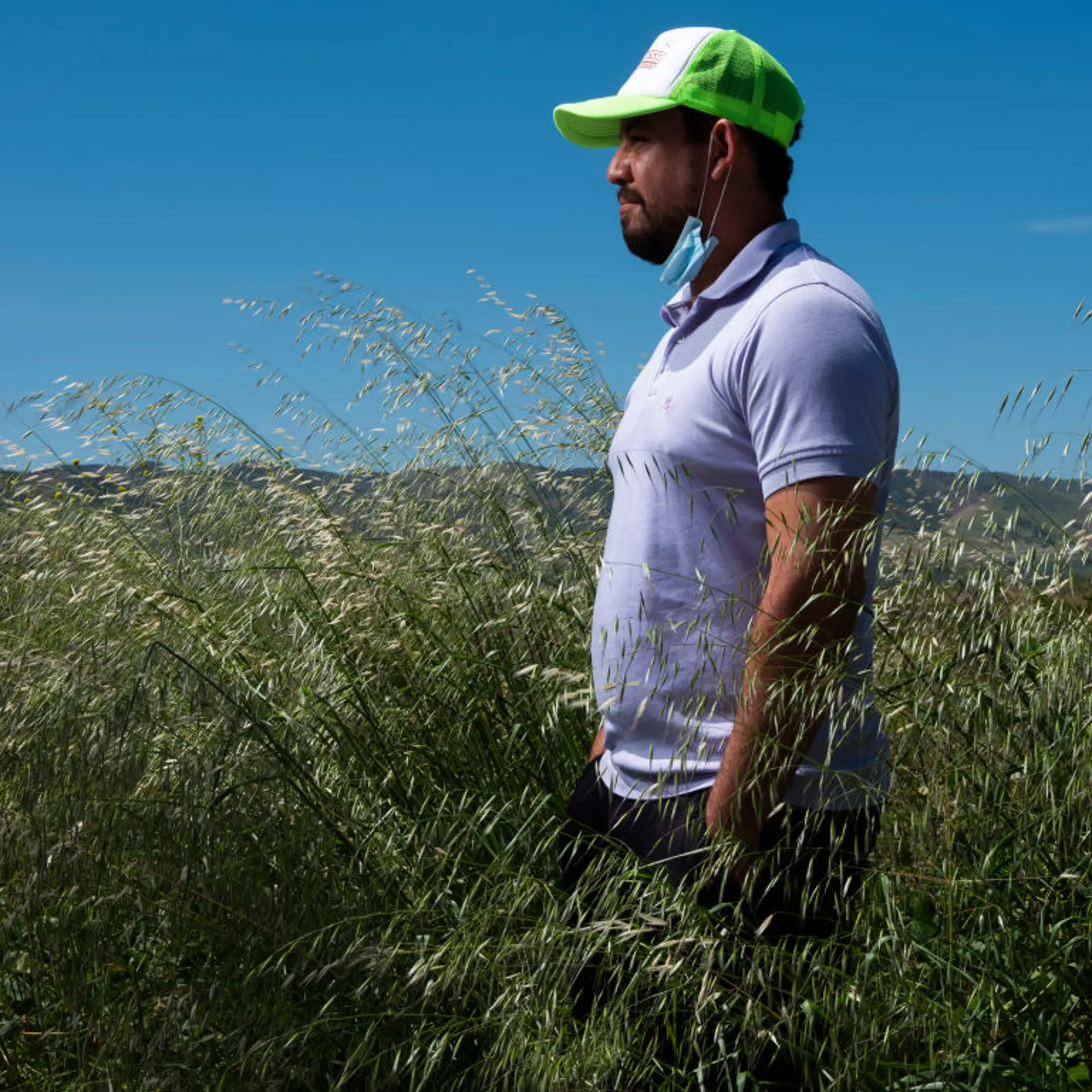 A man stands in profile in an agricultural field, looking off into the distance.