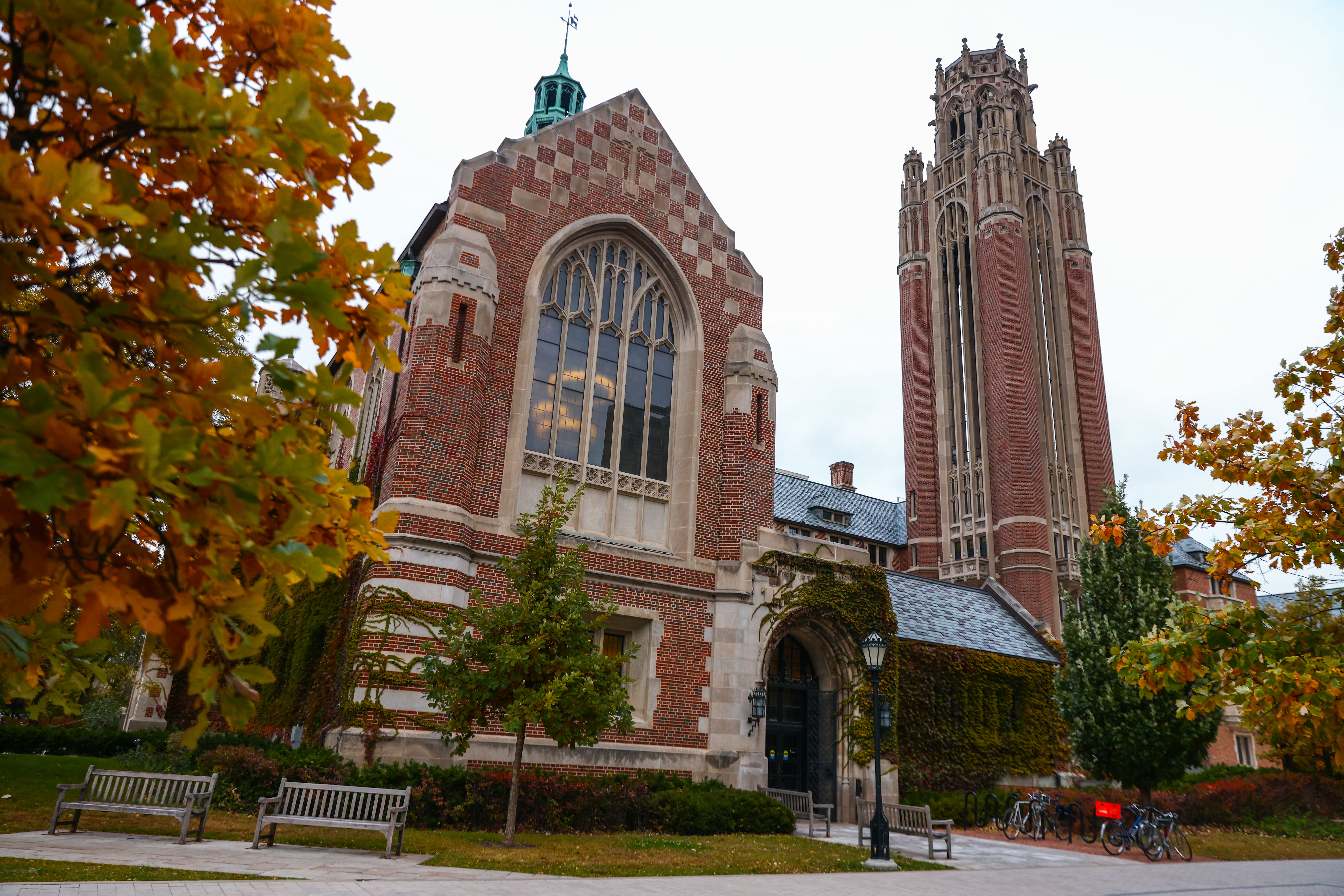 The University Of Chicago
