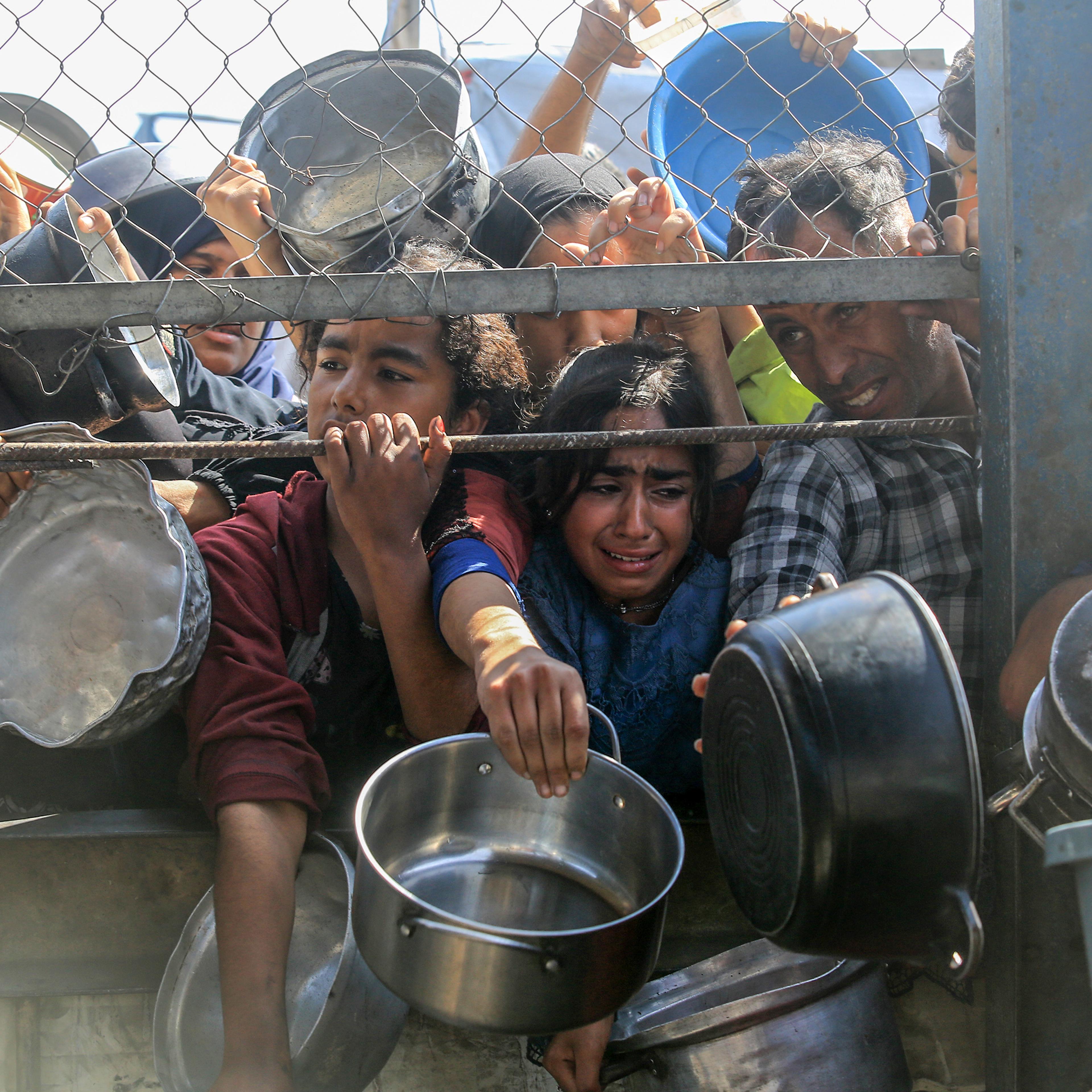 Food Distribution in Gaza