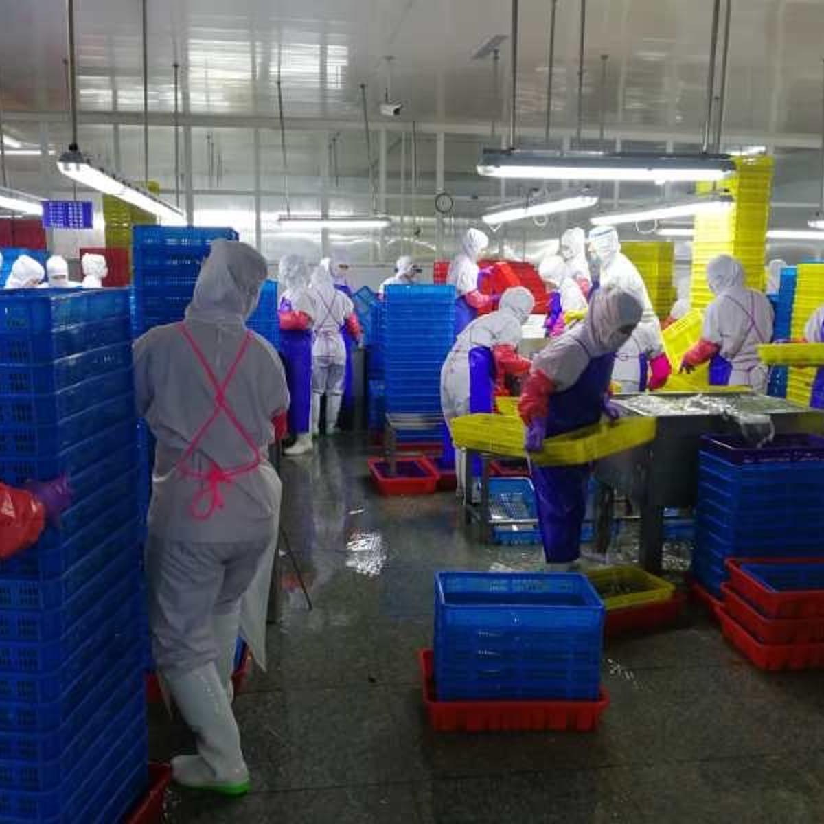 Workers sort seafood at Dandong Taifeng