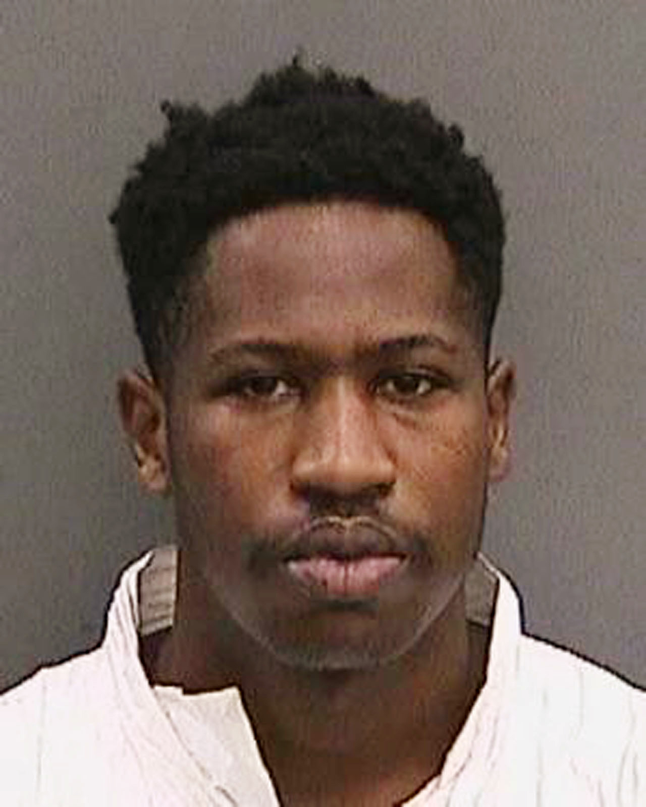 Tampa Homicides