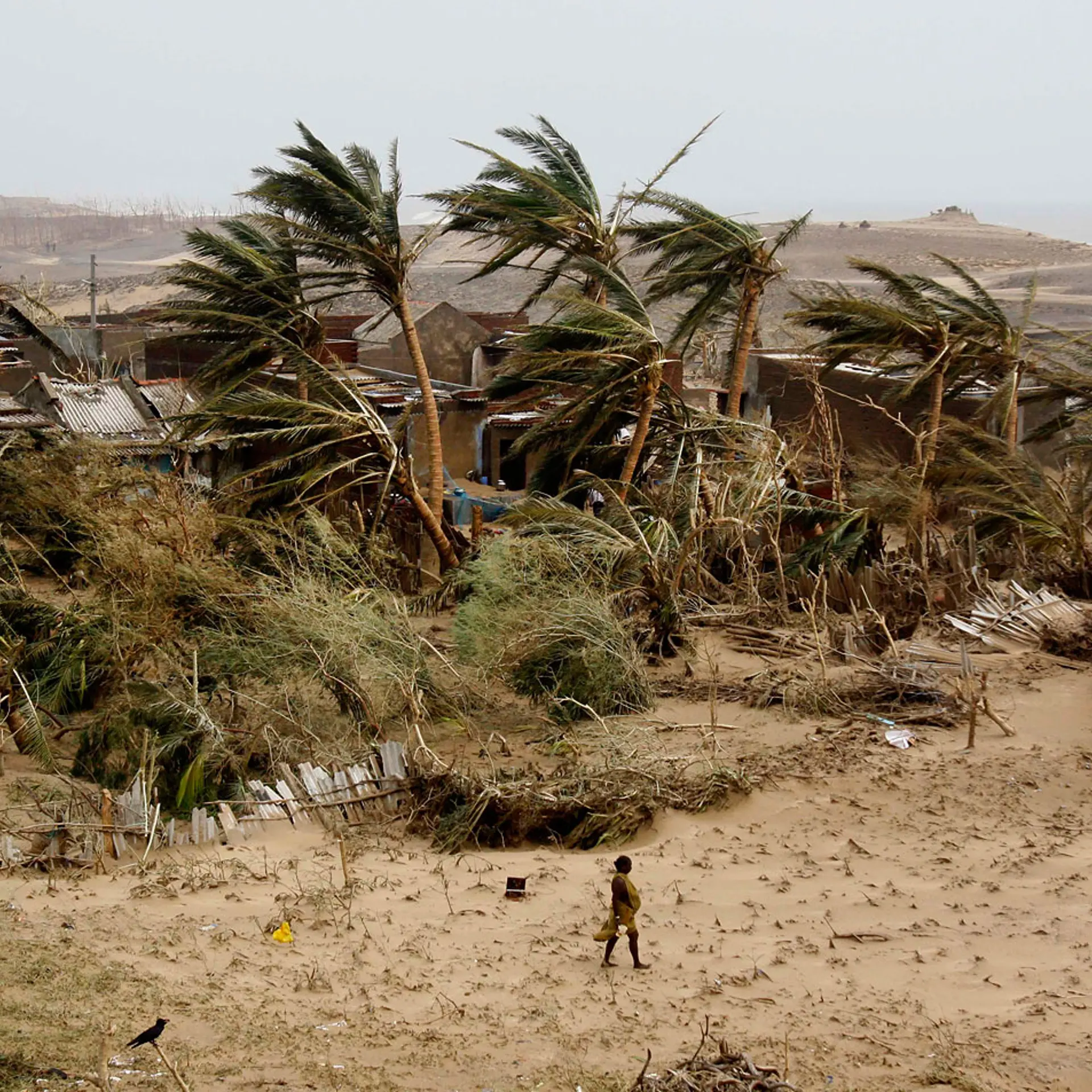 A woman returns to the cyclone hit Arjipalli village on the Bay of Bengal coast in Ganjam district, Orissa state, India.