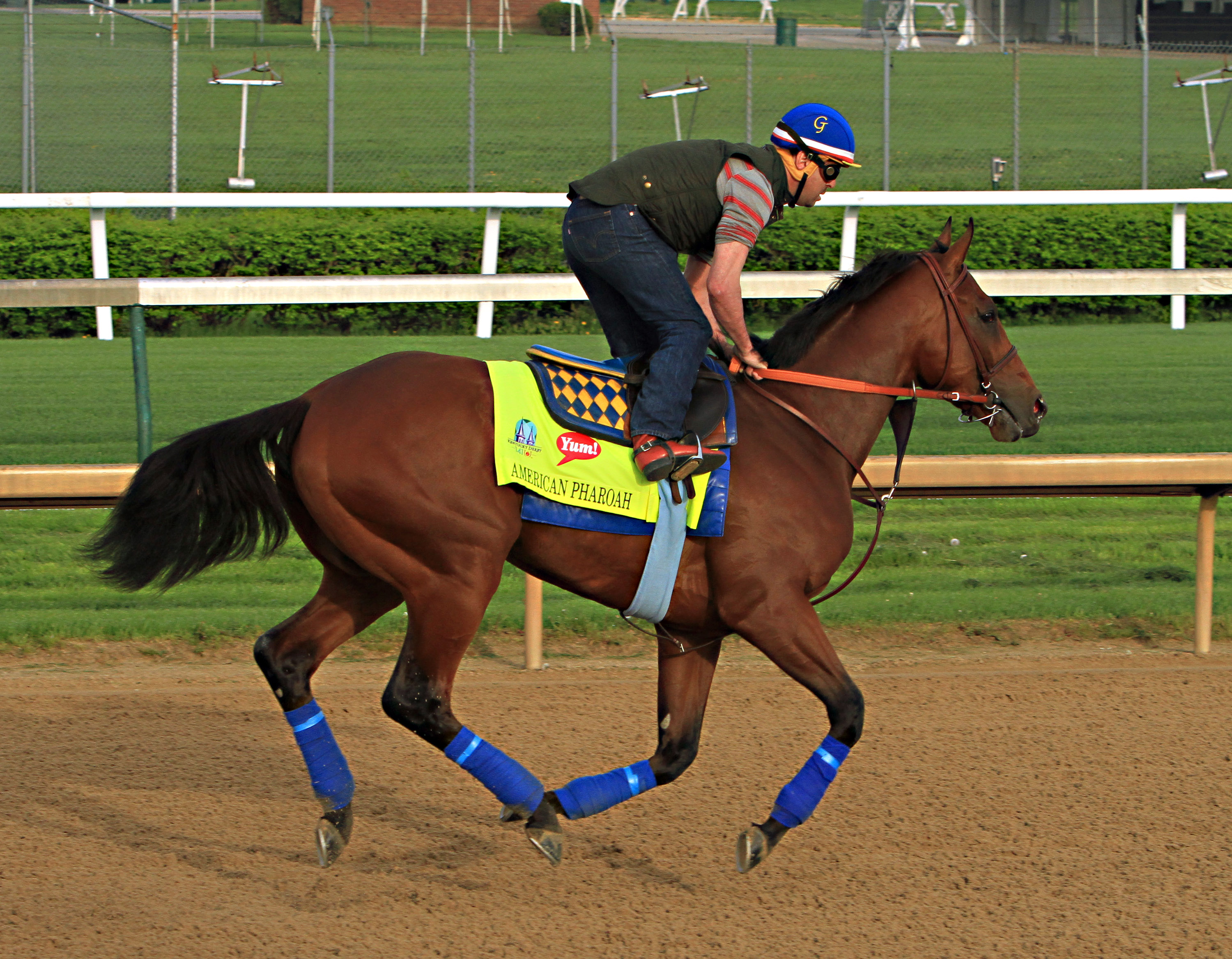 George Alverez, American Pharoah