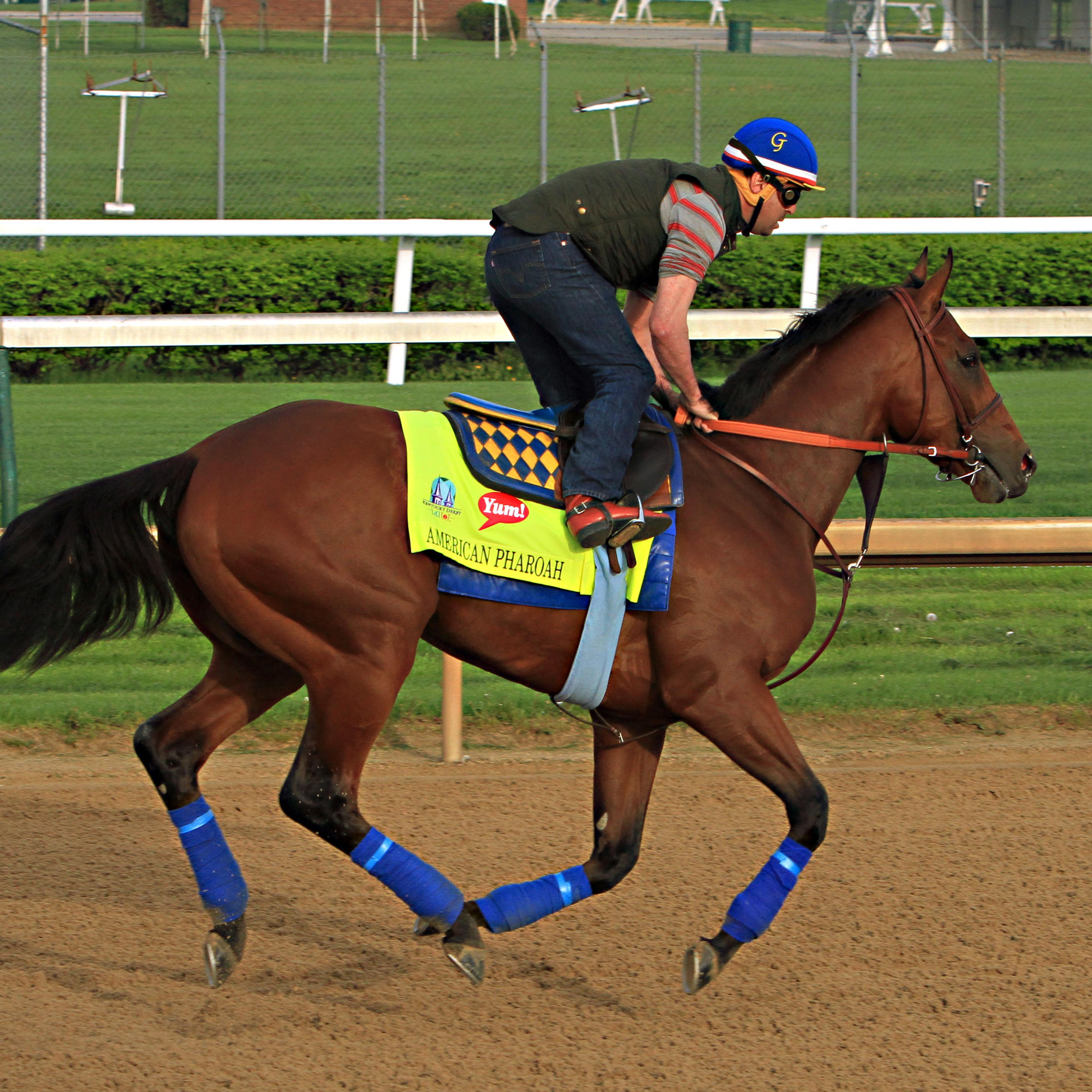 George Alverez, American Pharoah