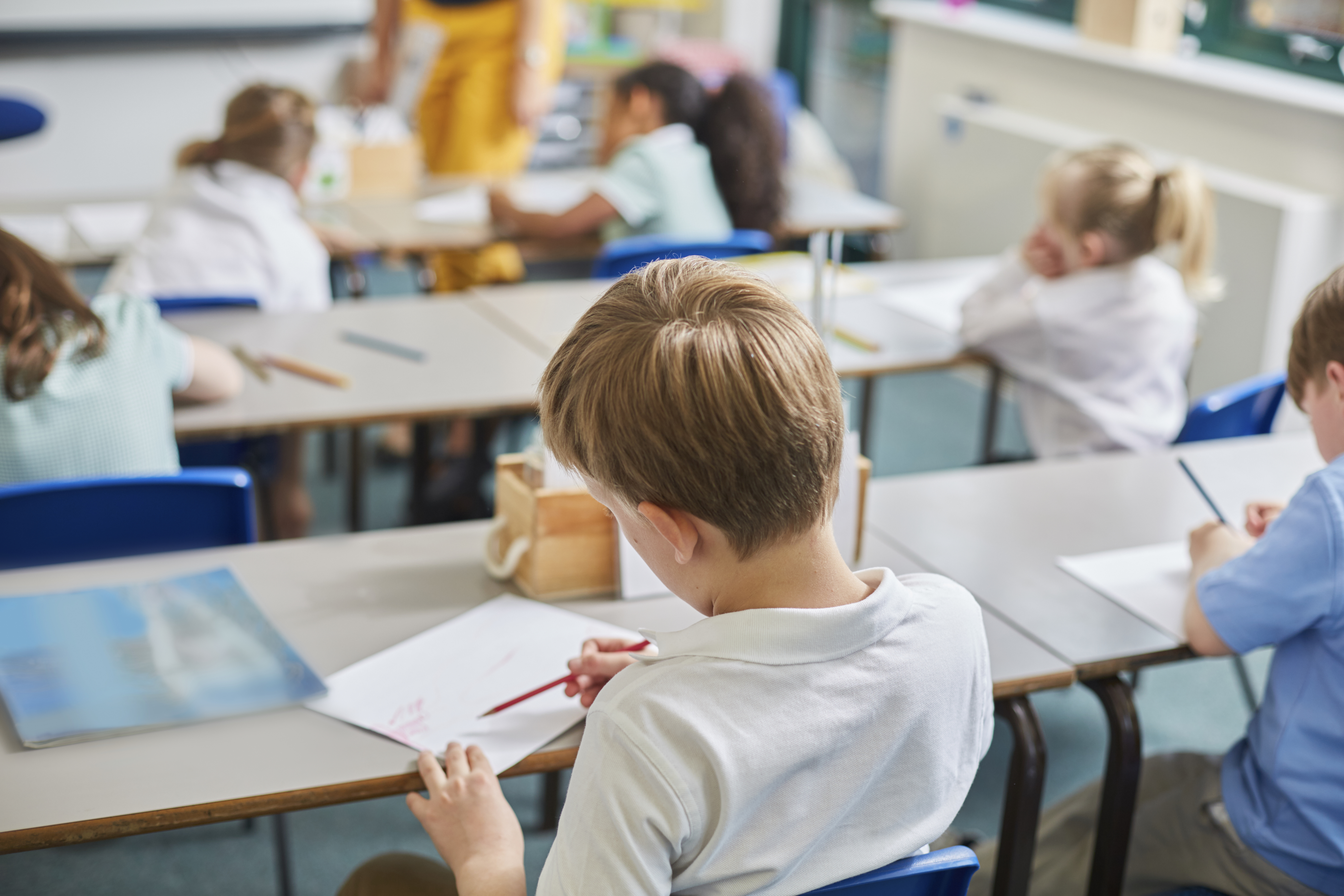 Primary schoolboy and girls doing schoolwork at classroom desks, rear view
