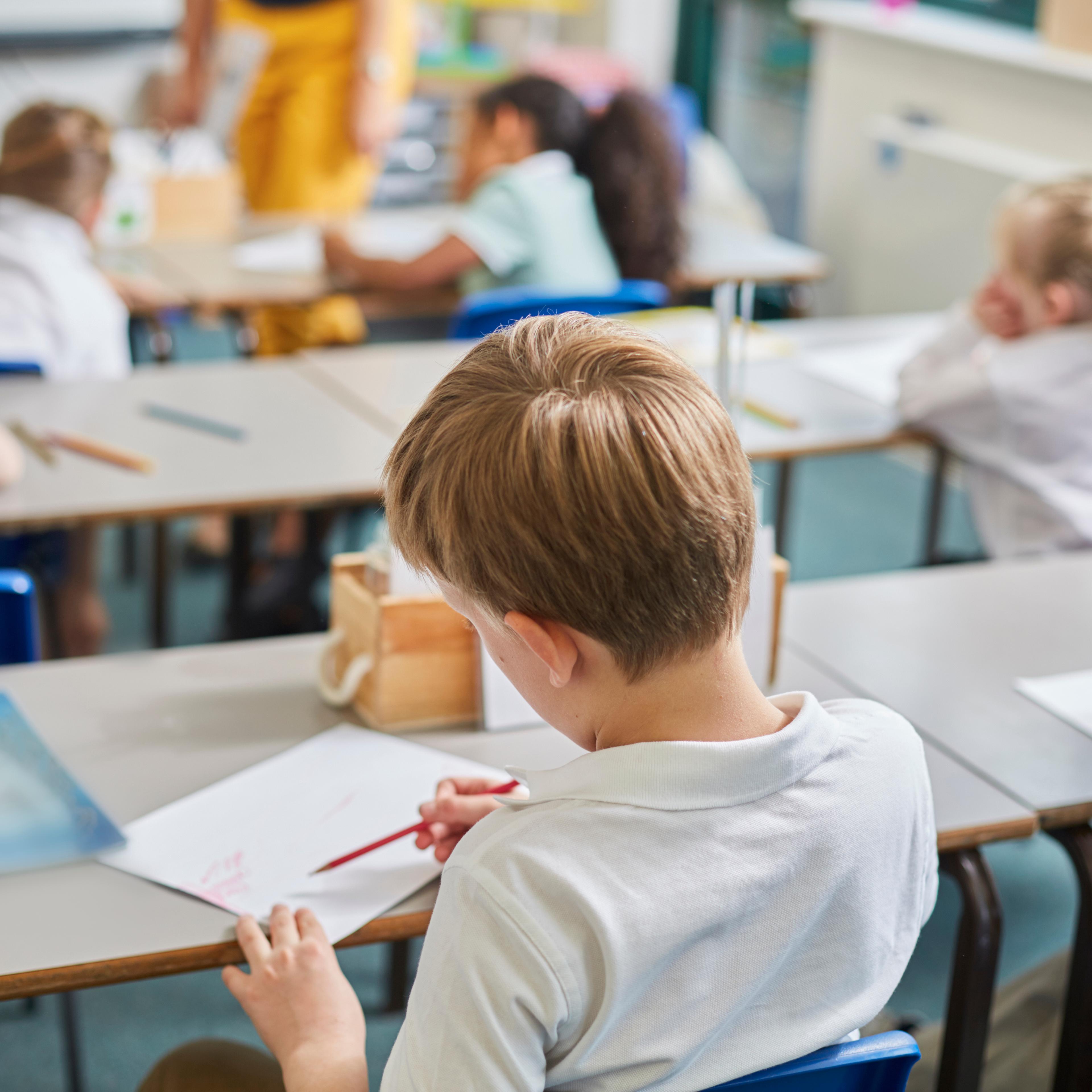 Primary schoolboy and girls doing schoolwork at classroom desks, rear view