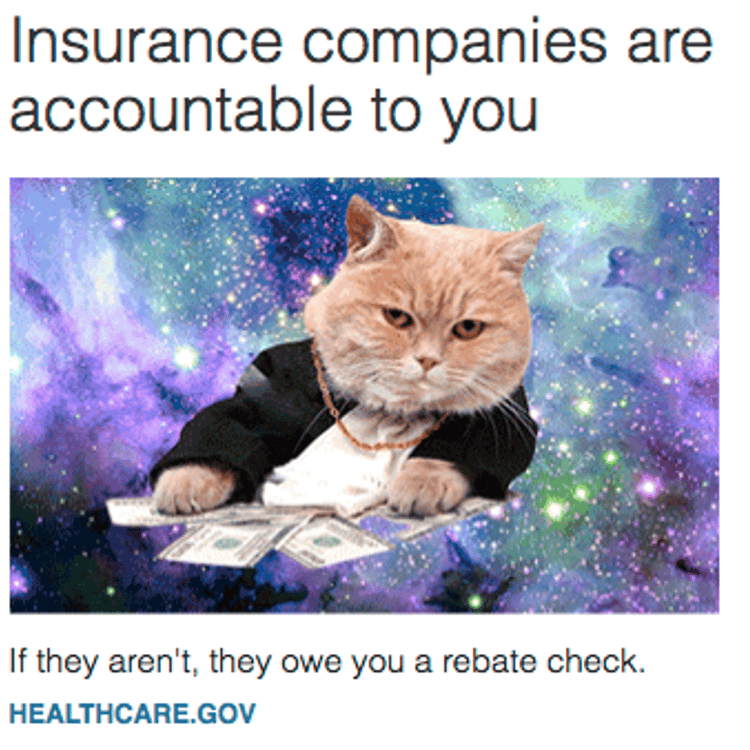Healthcare.gov