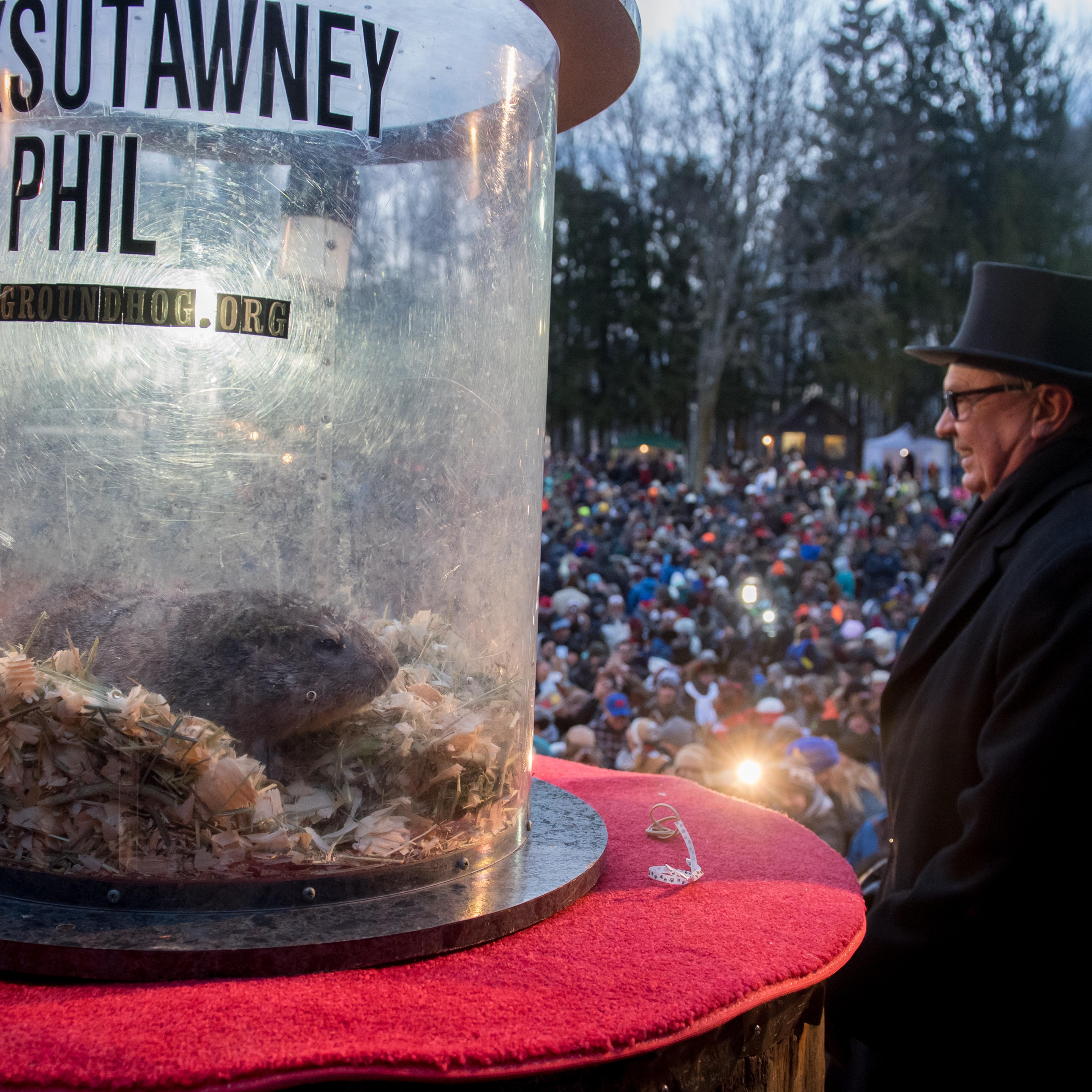 Annual Winter Tradition Of Groundhog Day Celebrated In Punxsutawney, Pennsylvania