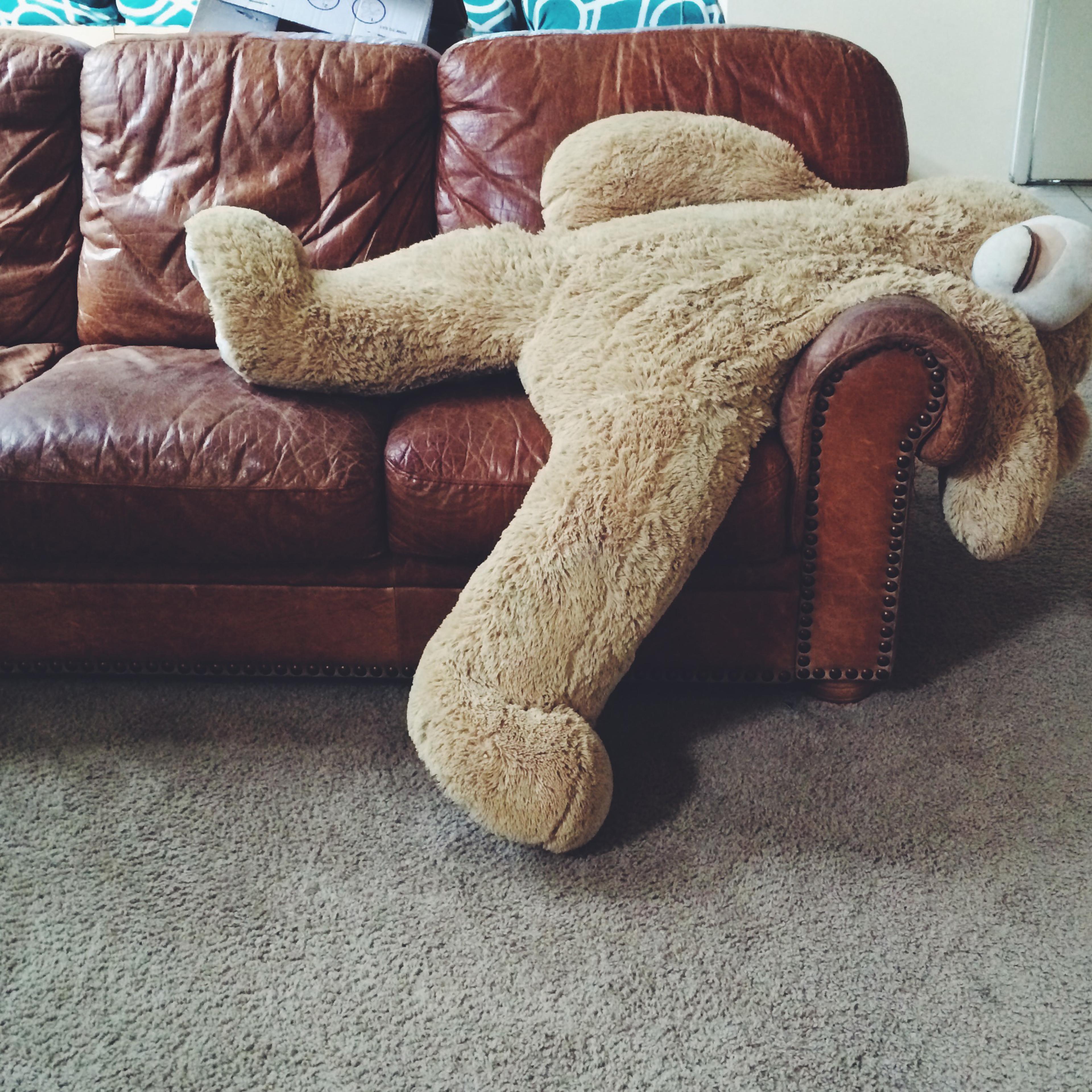Stuffed teddy bear laying on couch