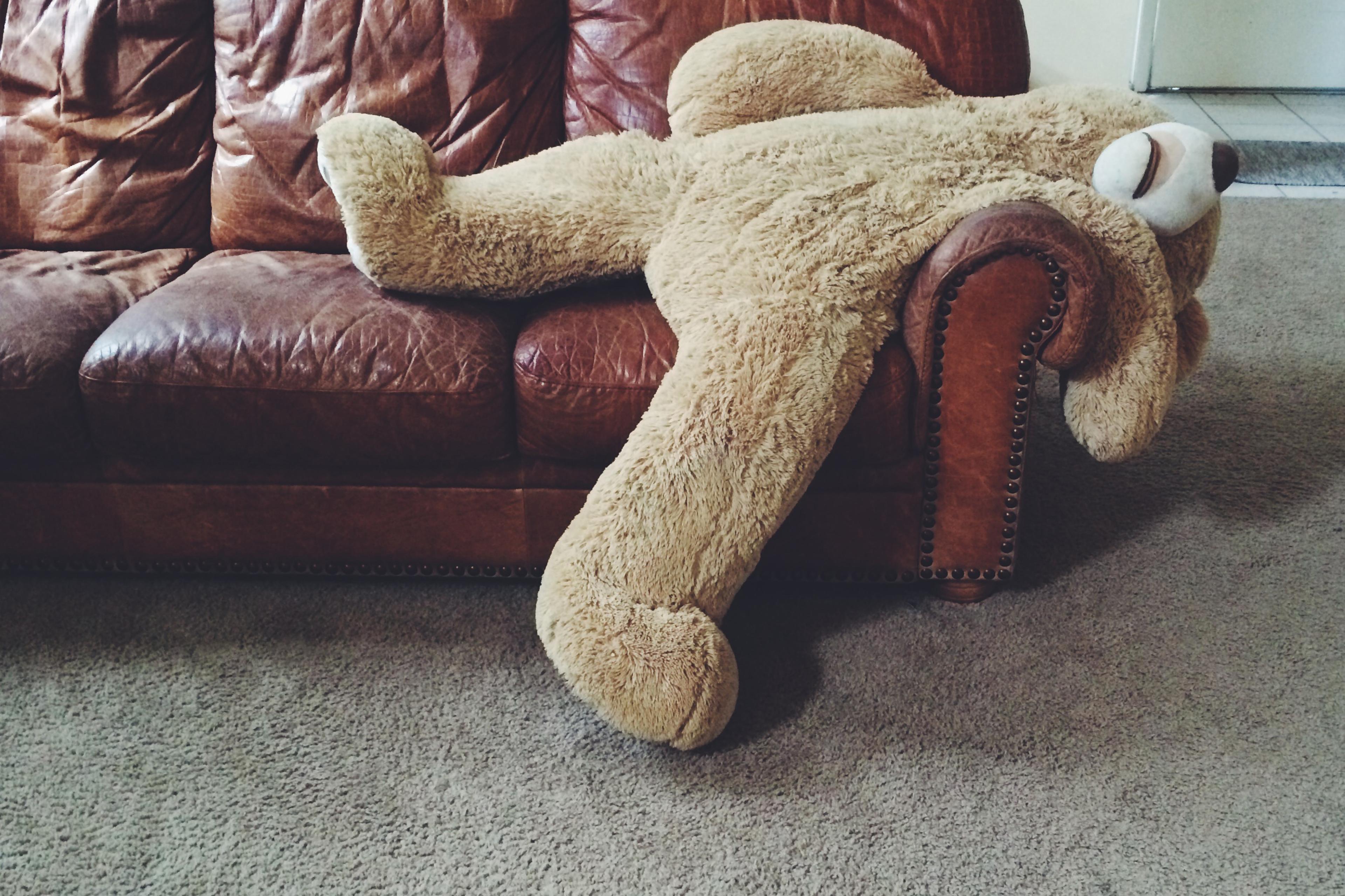 Stuffed teddy bear laying on couch