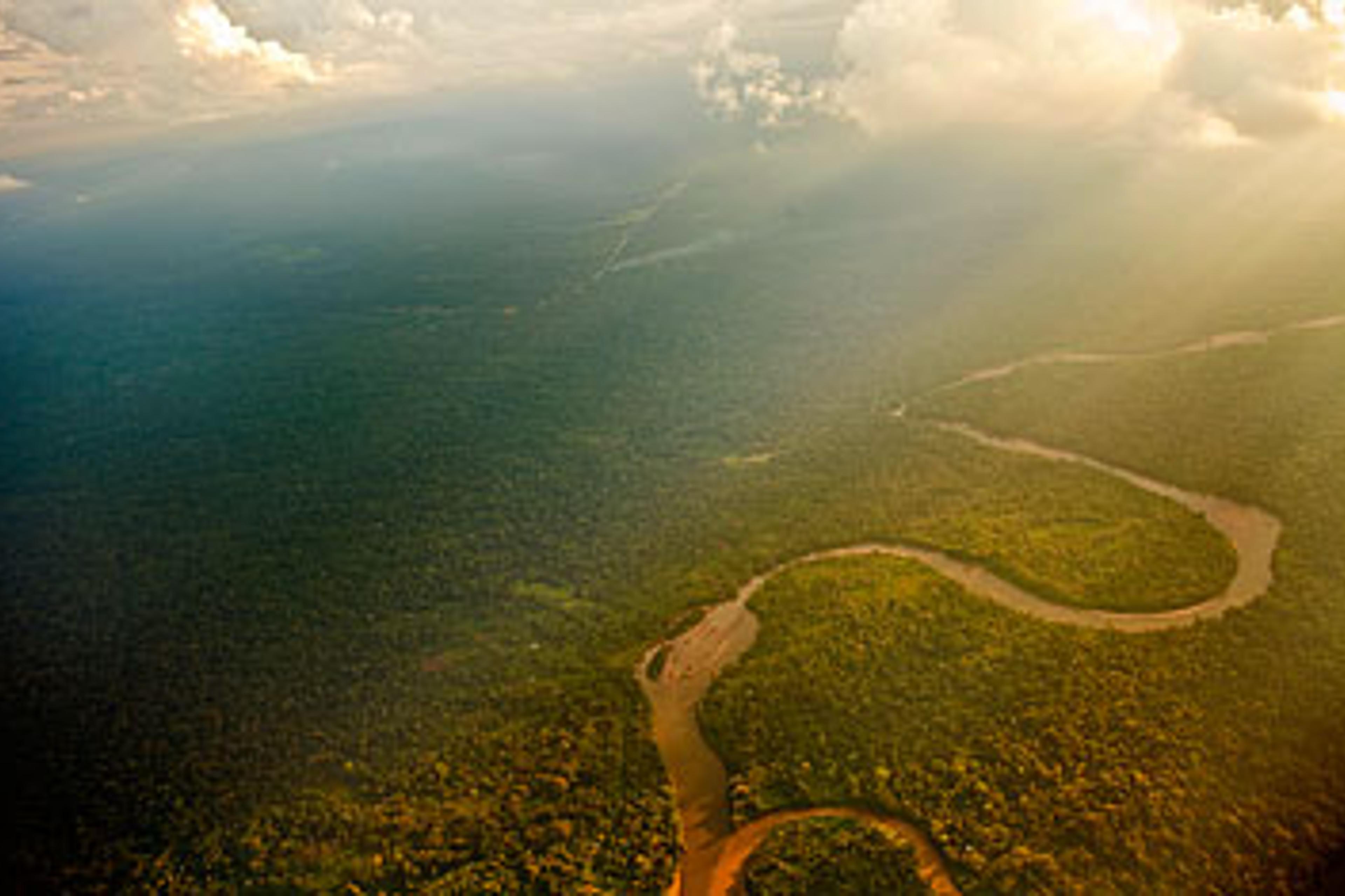 Heart of the forest Ecuador's Napo River feeds into the Amazon in oil-rich Yasuni National Park
