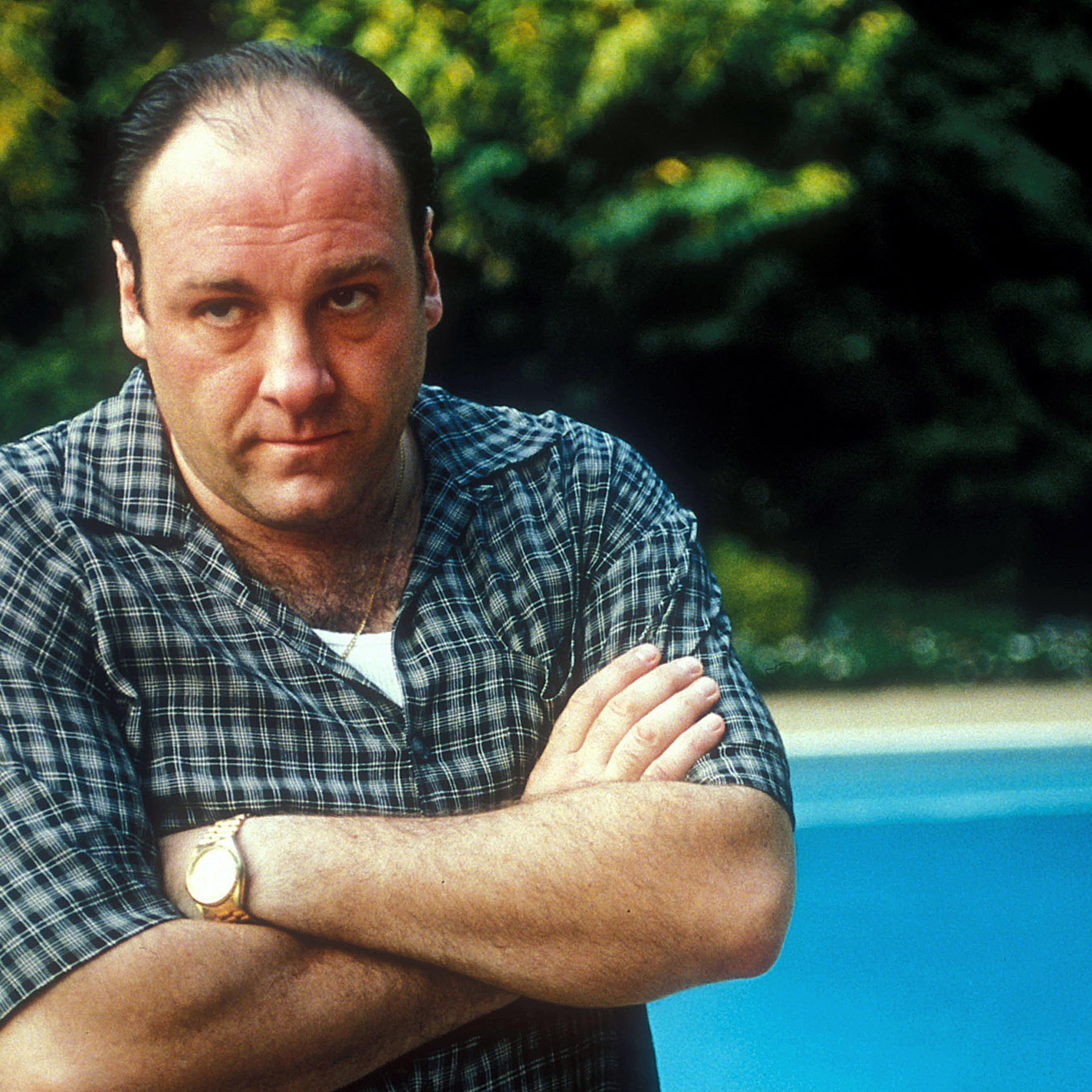 James Gandolfini as Tony Soprano