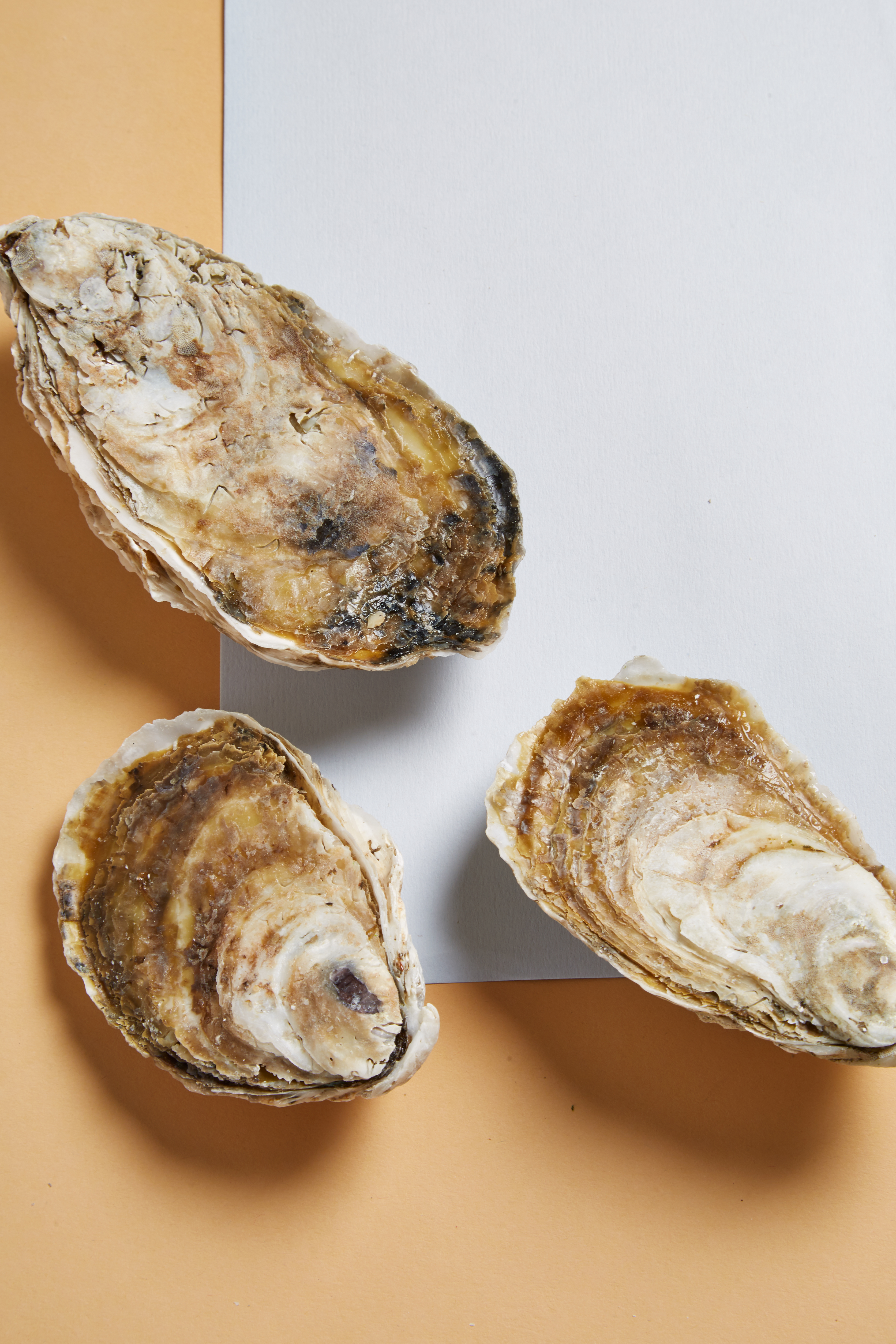 healthy and filling, health food, diet, nutrition, time.com stock, oysters
