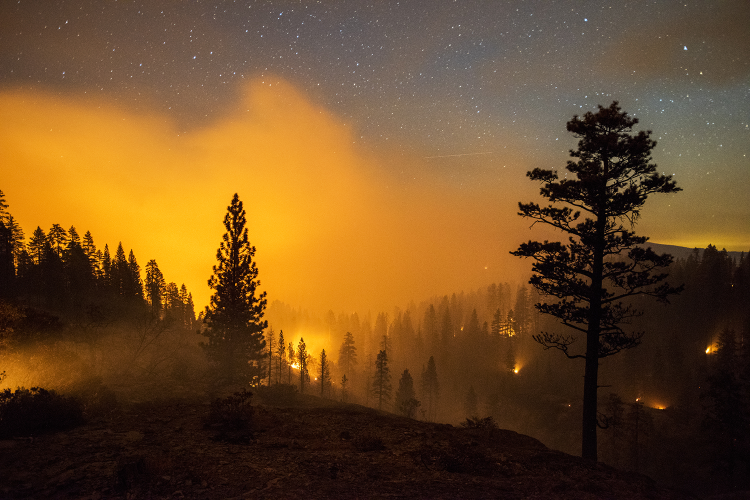 Chasing Blazes: Stuart Palley's Photos of Wildfires