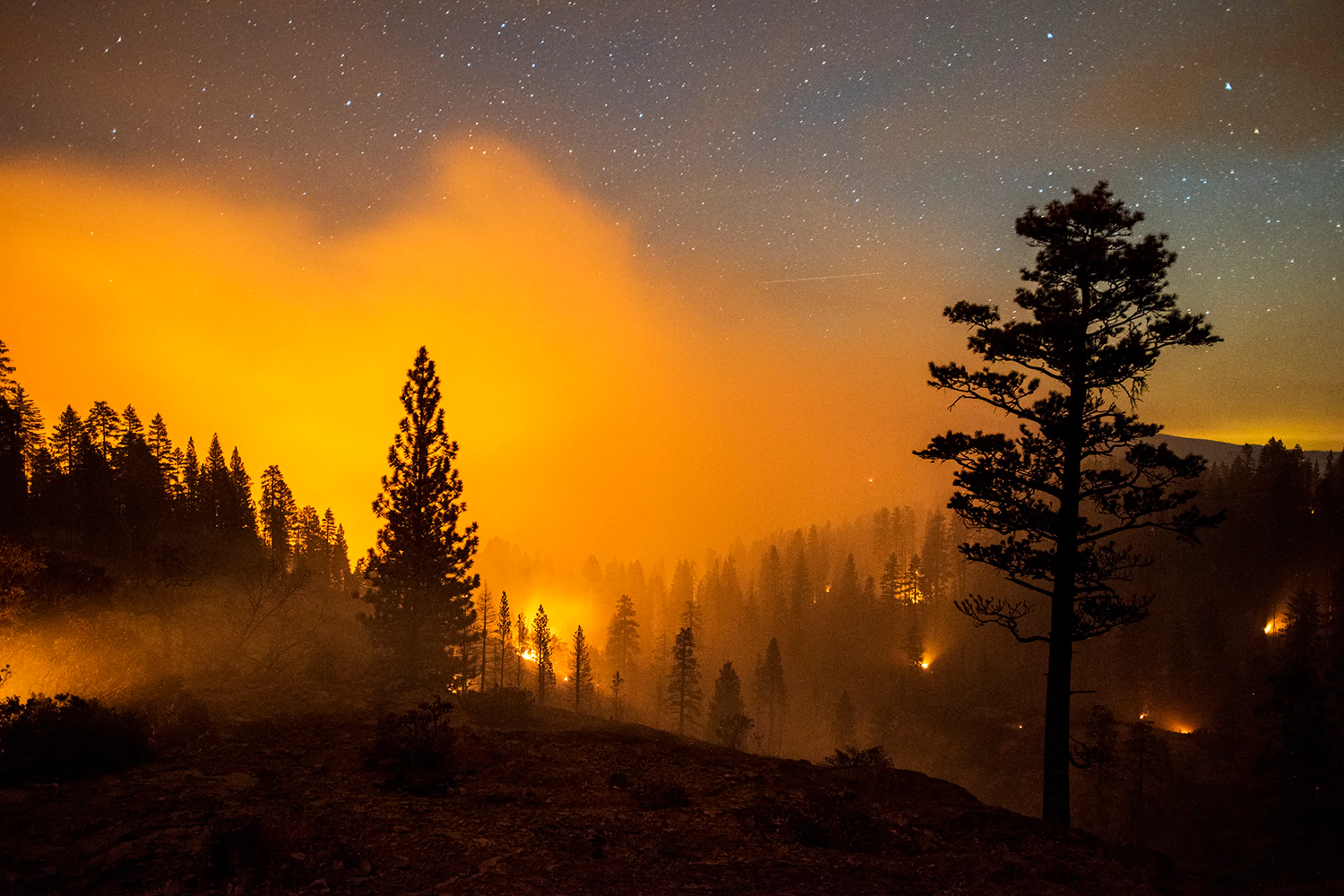 Stuart Palley Chasing Blazes: Stuart Palley's Photos of Wildfires