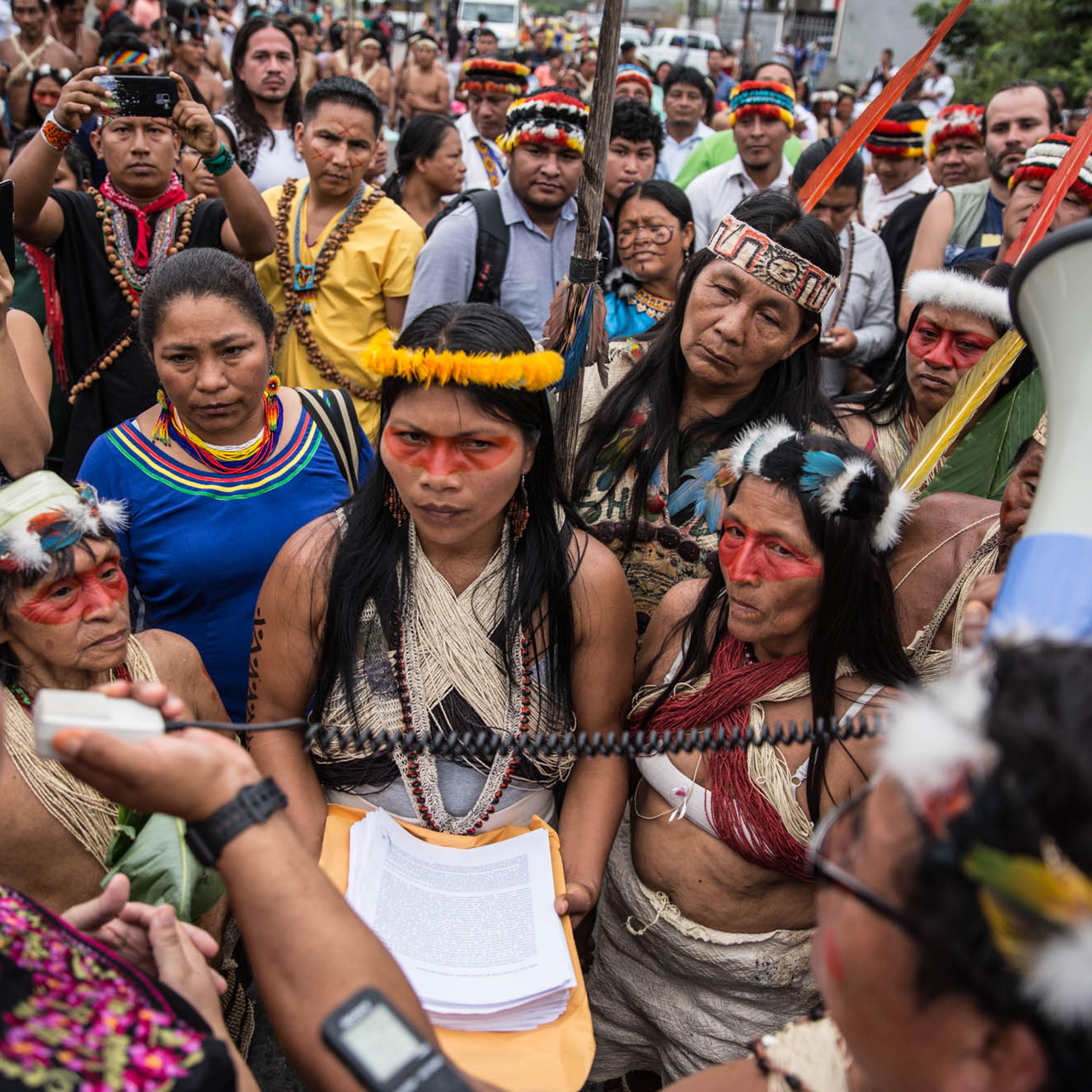 In 2019, Nemonte Nenquimo, Waorani leader, prepares to file a historic lawsuit against the Ecuadorian government for failure to consult with her people in the auctioning of their ancestral rainforest lands to the international oil industry. Indigenous leaders from across the Amazon rally around her leadership.