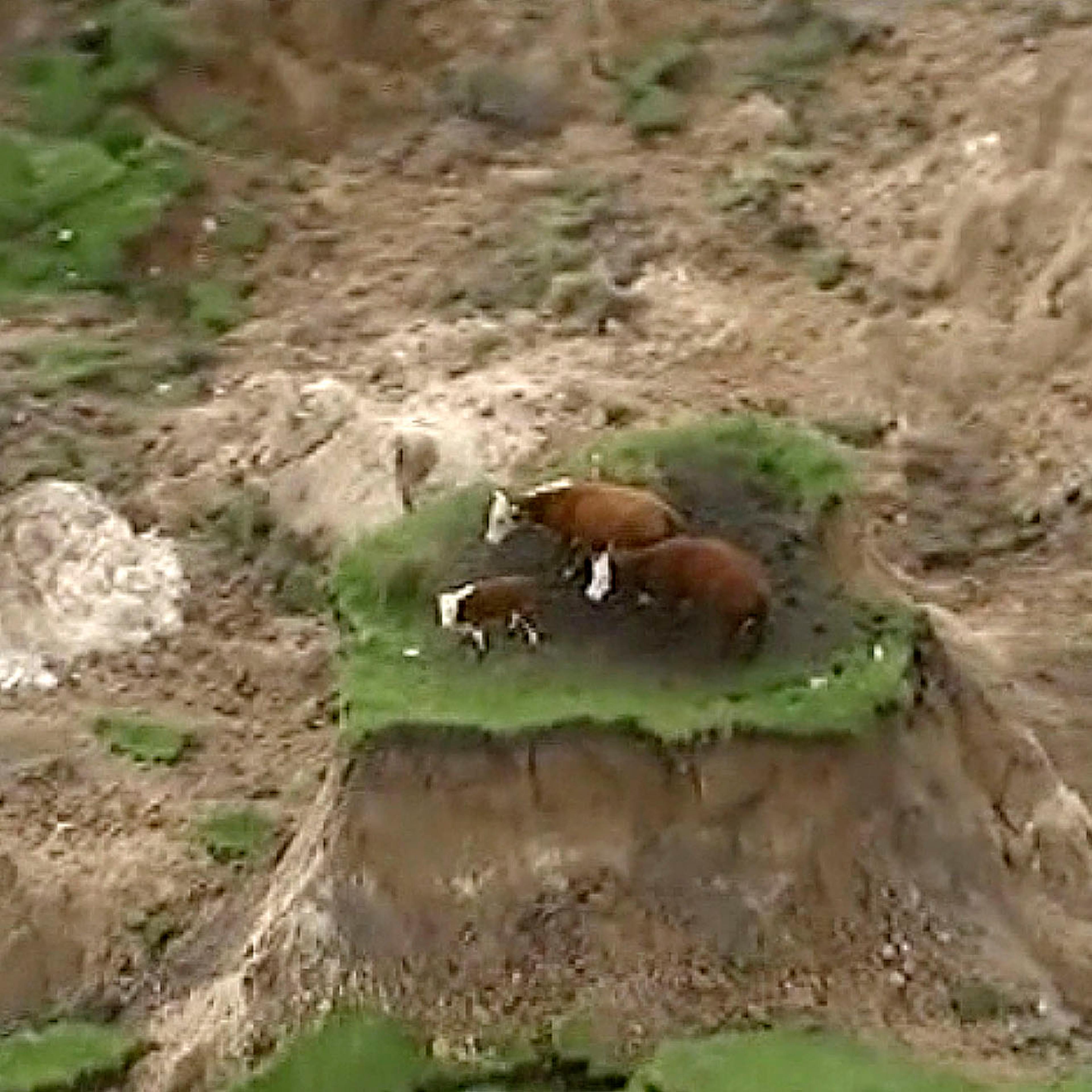 New Zealand Earthquake