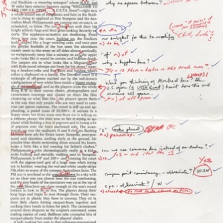 David Foster Wallace edit