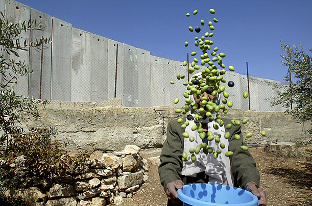 Ashraf Abu Turk / AP
