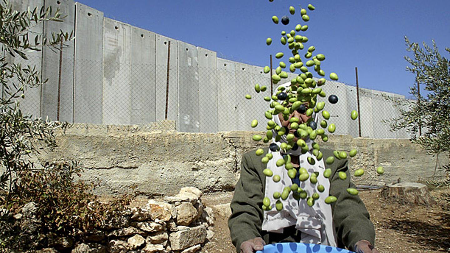 Ashraf Abu Turk / AP