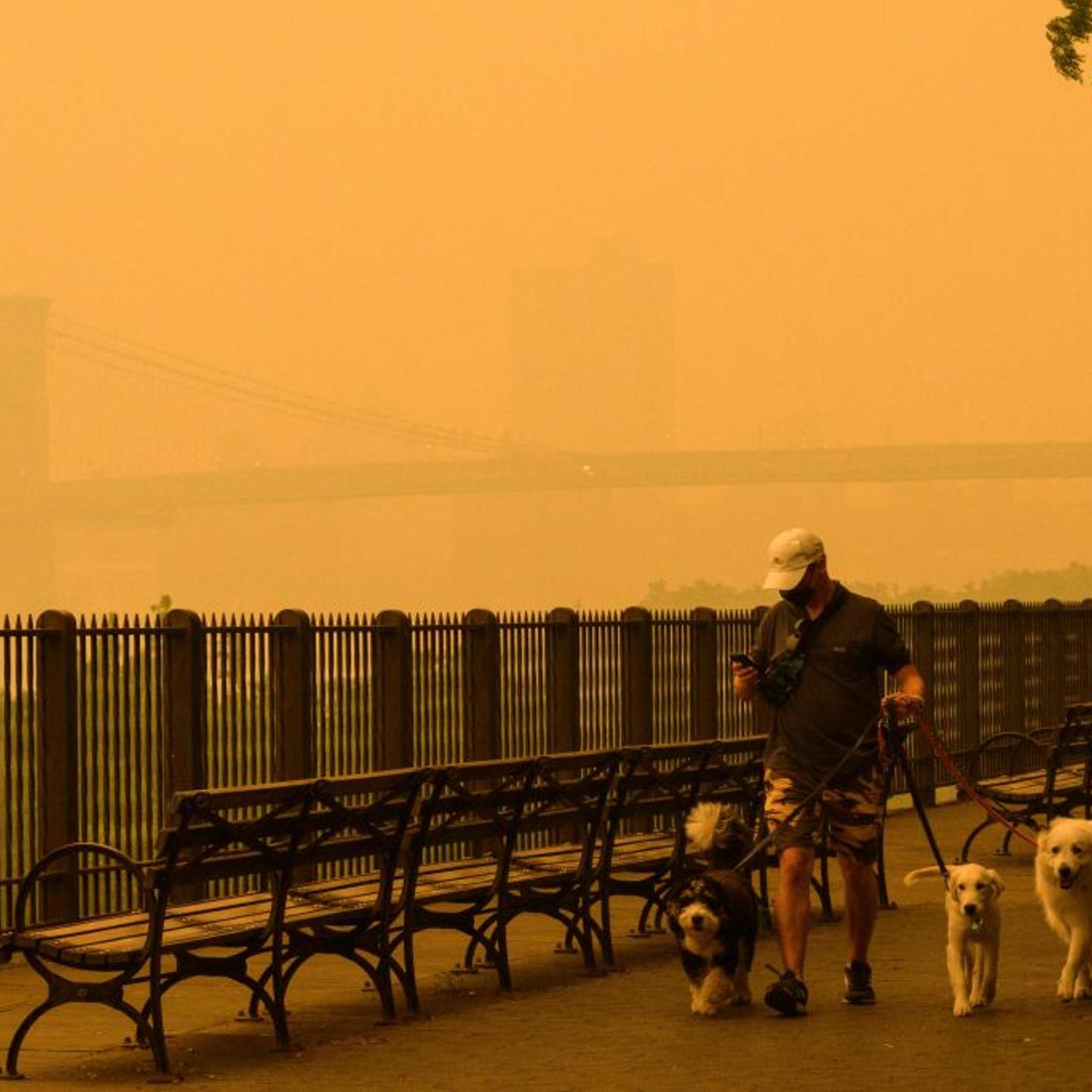 Wildfire smoke in New York City
