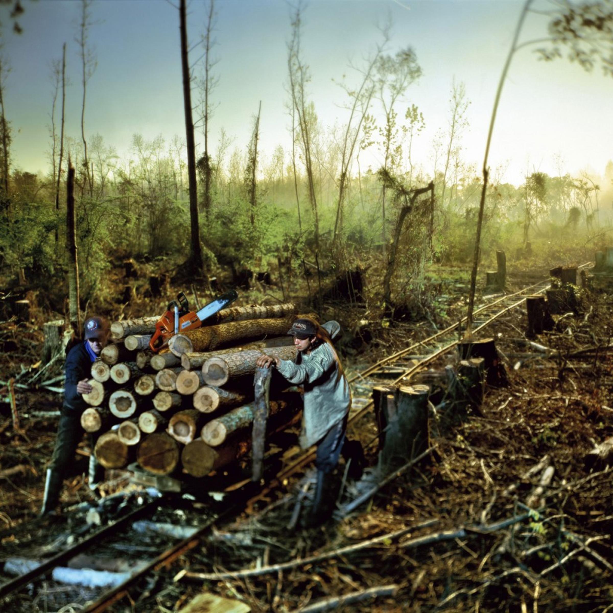 <em>The Woodcutters</em>, 2010<br>From the series <em>The High Tide</em>