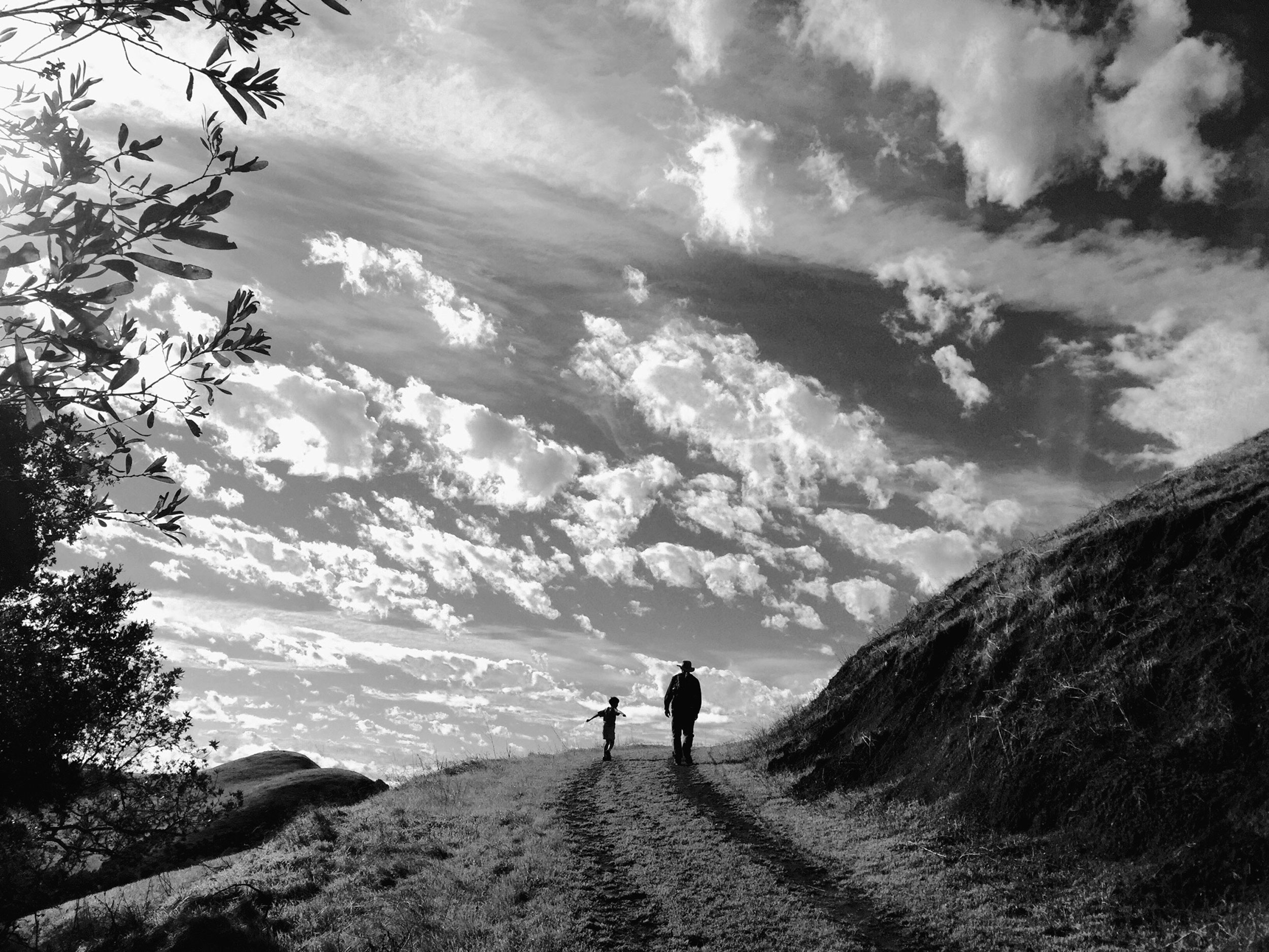 Garin Dry Creek Regional Park near Union City, CA