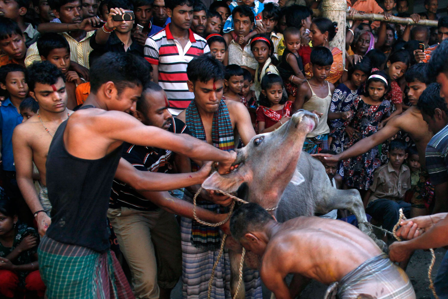 The Blood of Bird and Beast: The Persistence of Animal Sacrifice