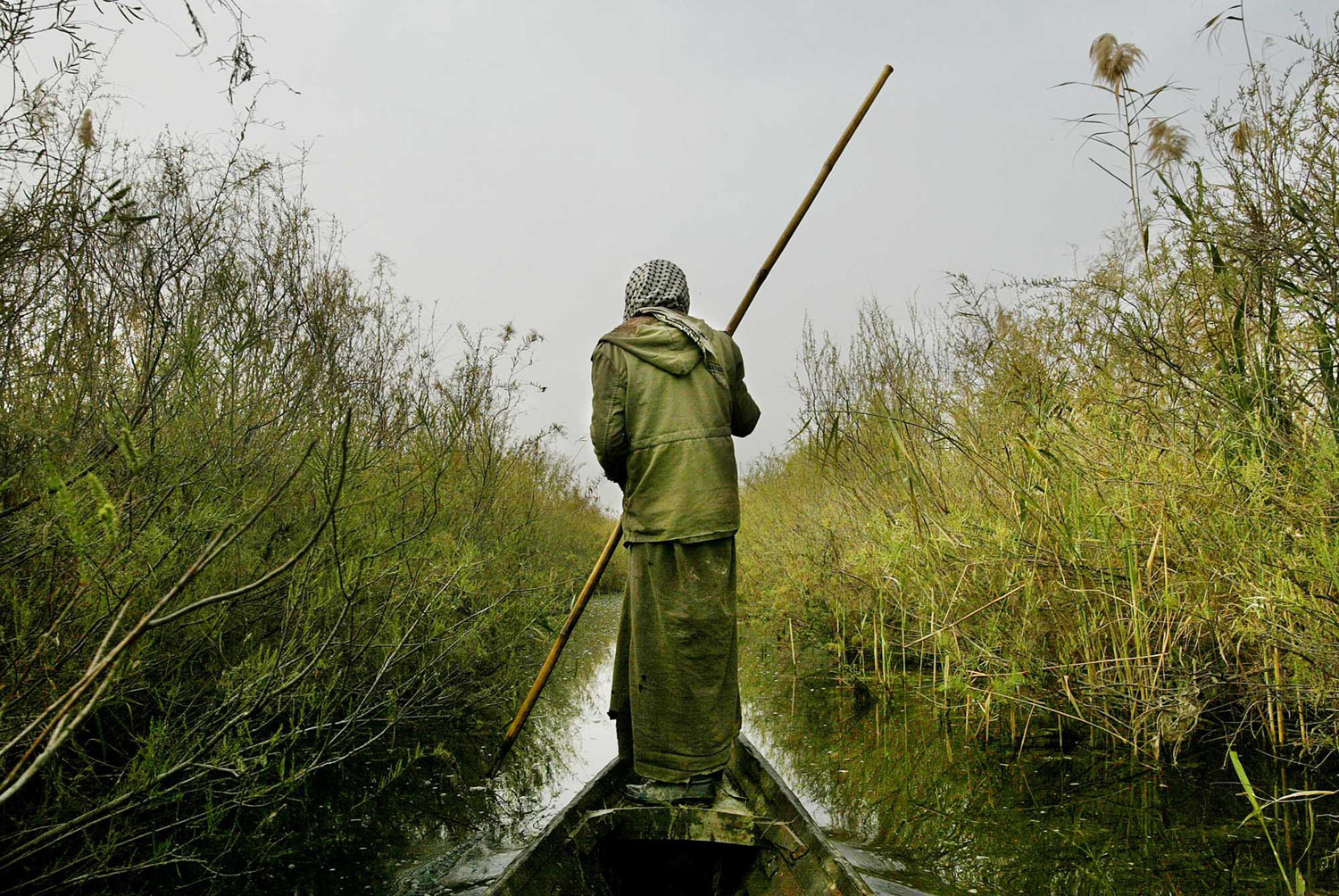 A Marsh Arab floats on his canoe through the Kurmashia marsh in southern Iraq.