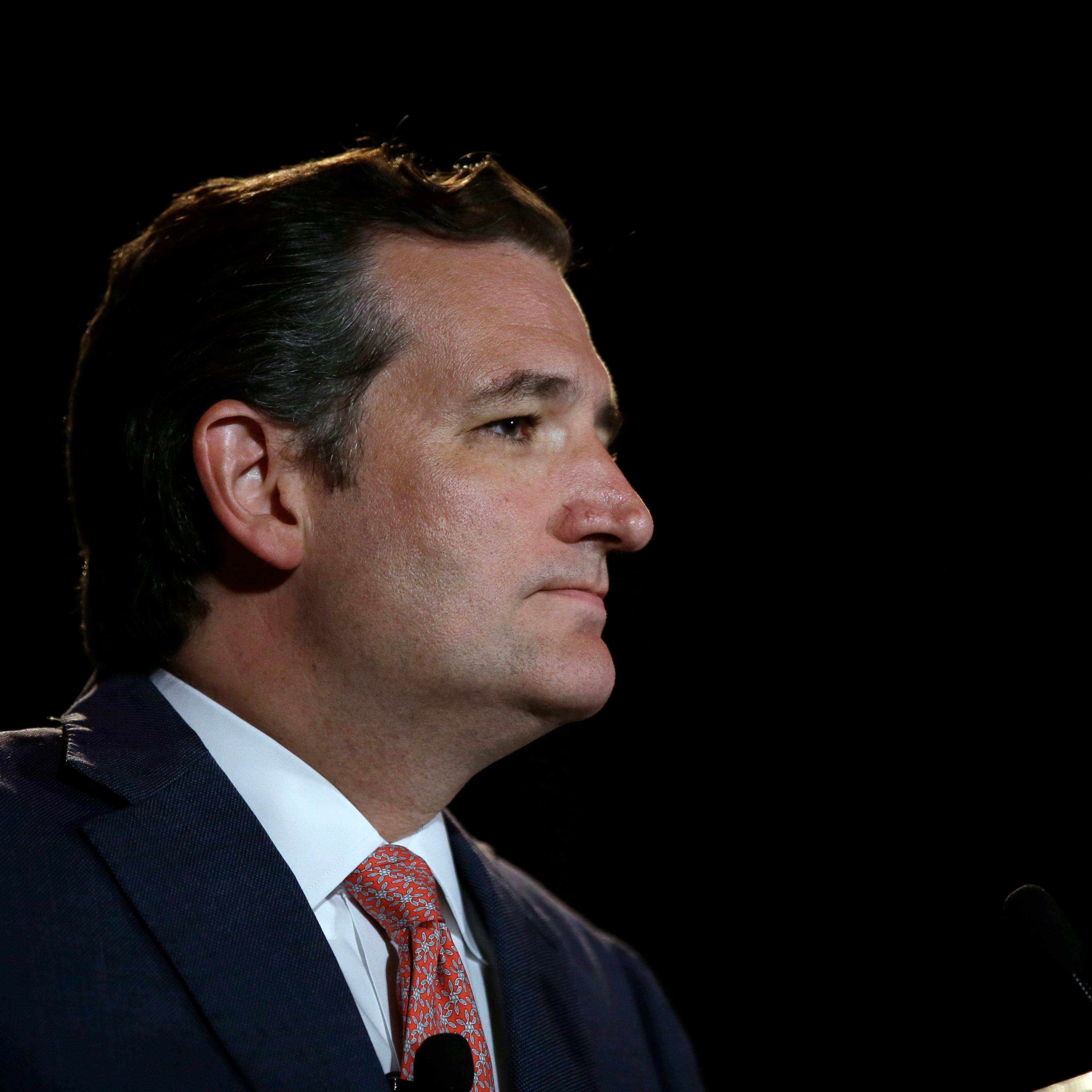 U.S. Sen. Ted Cruz, R-Texas, pauses as he addresses attendees at the 2014 Red State Gathering on Aug. 8, 2014, in Fort Worth, Texas.v