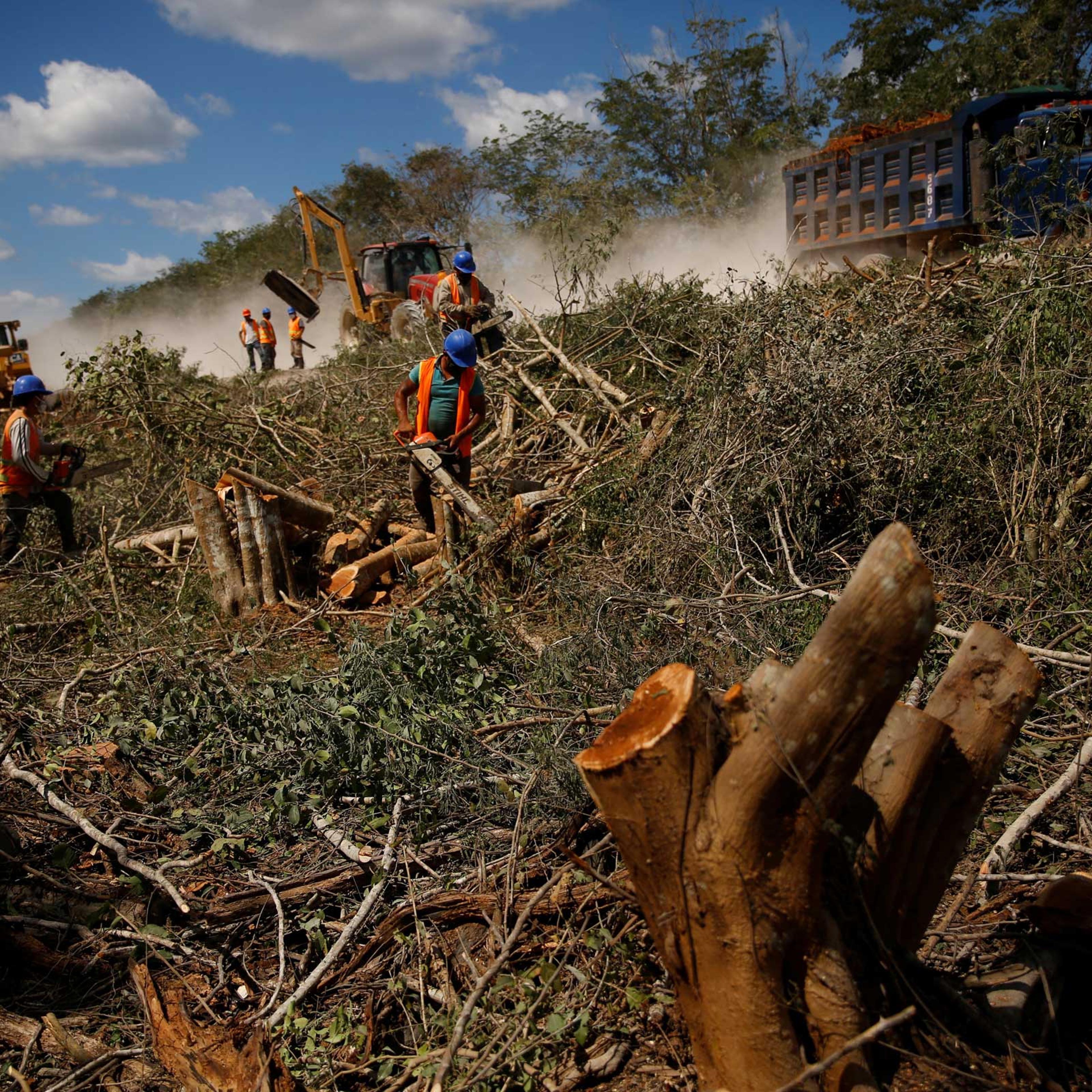 The Wider Image: Collapse, contamination: Mexican scientists sound alarm at Mayan Train