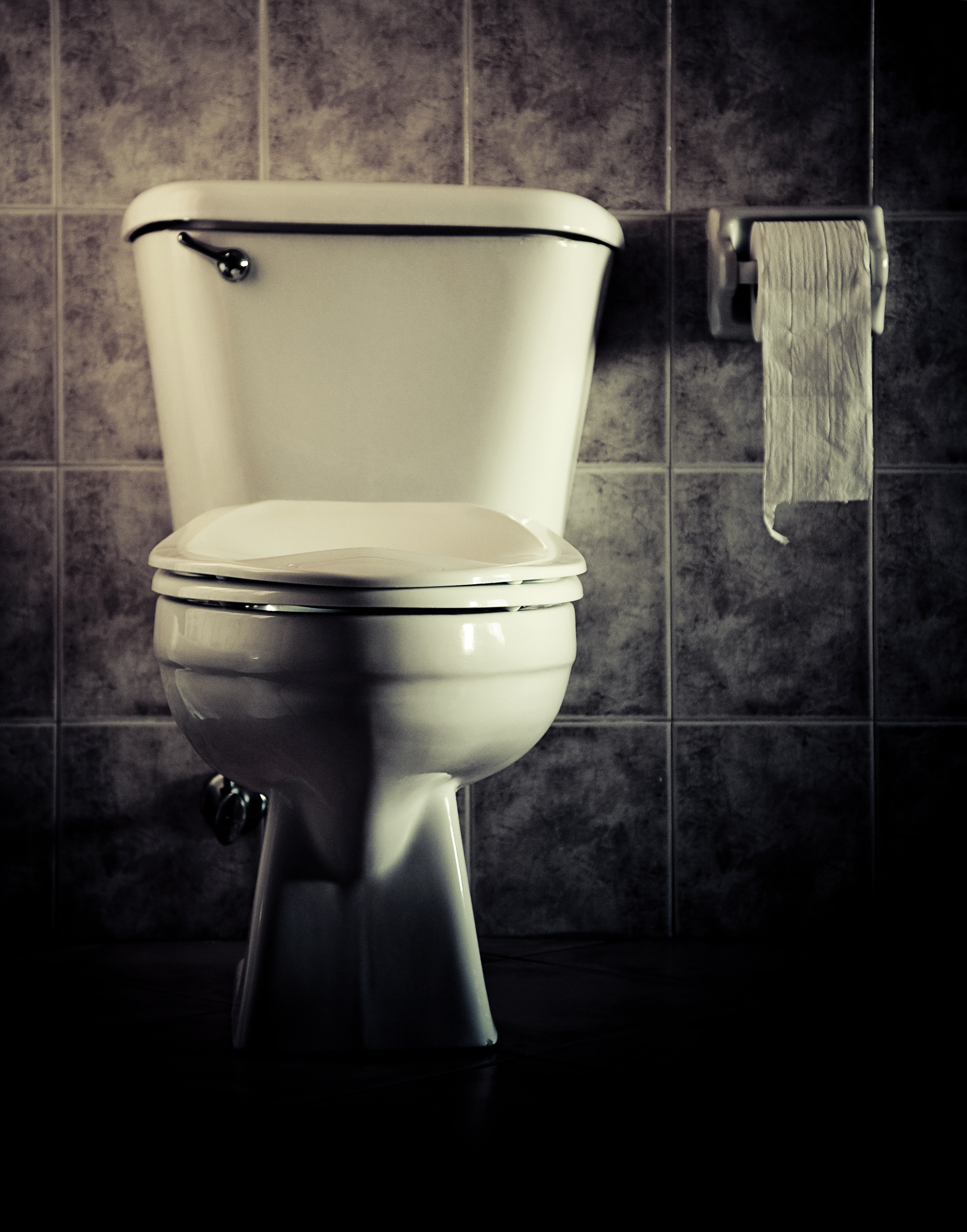 toilet horror