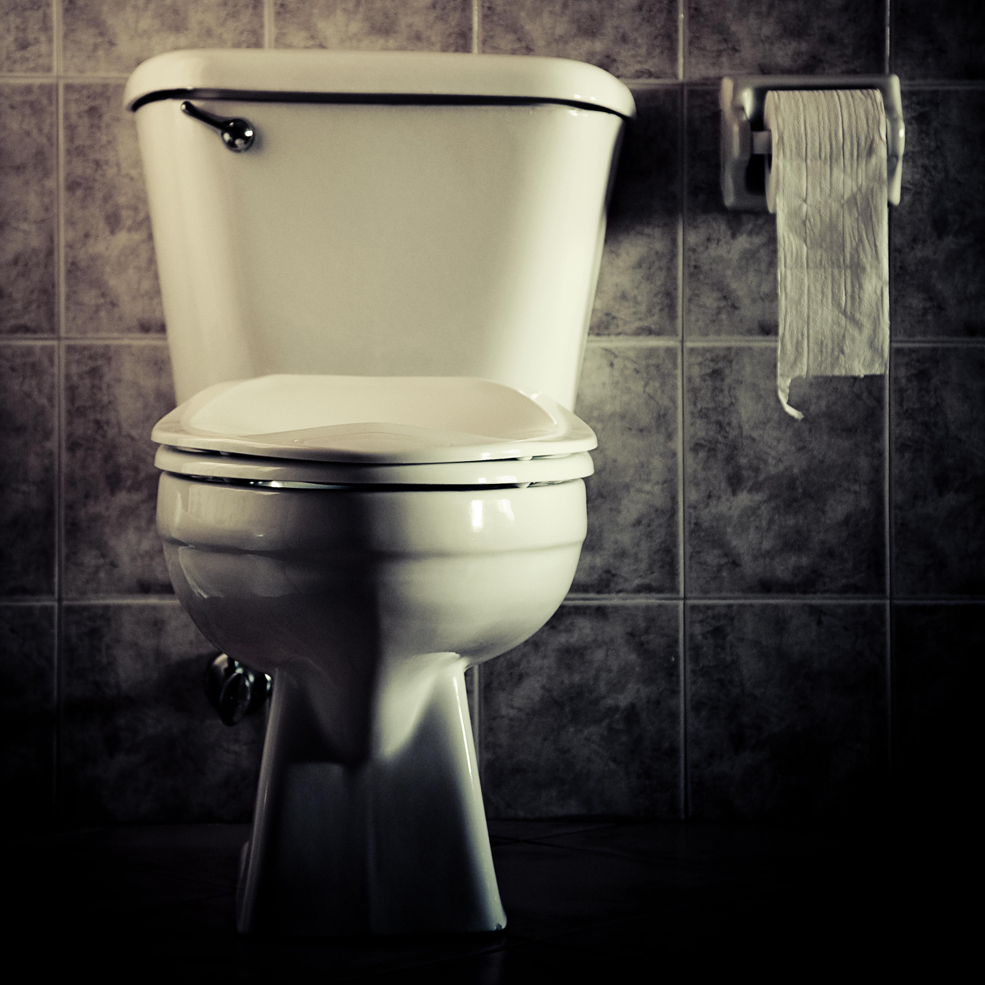 toilet horror